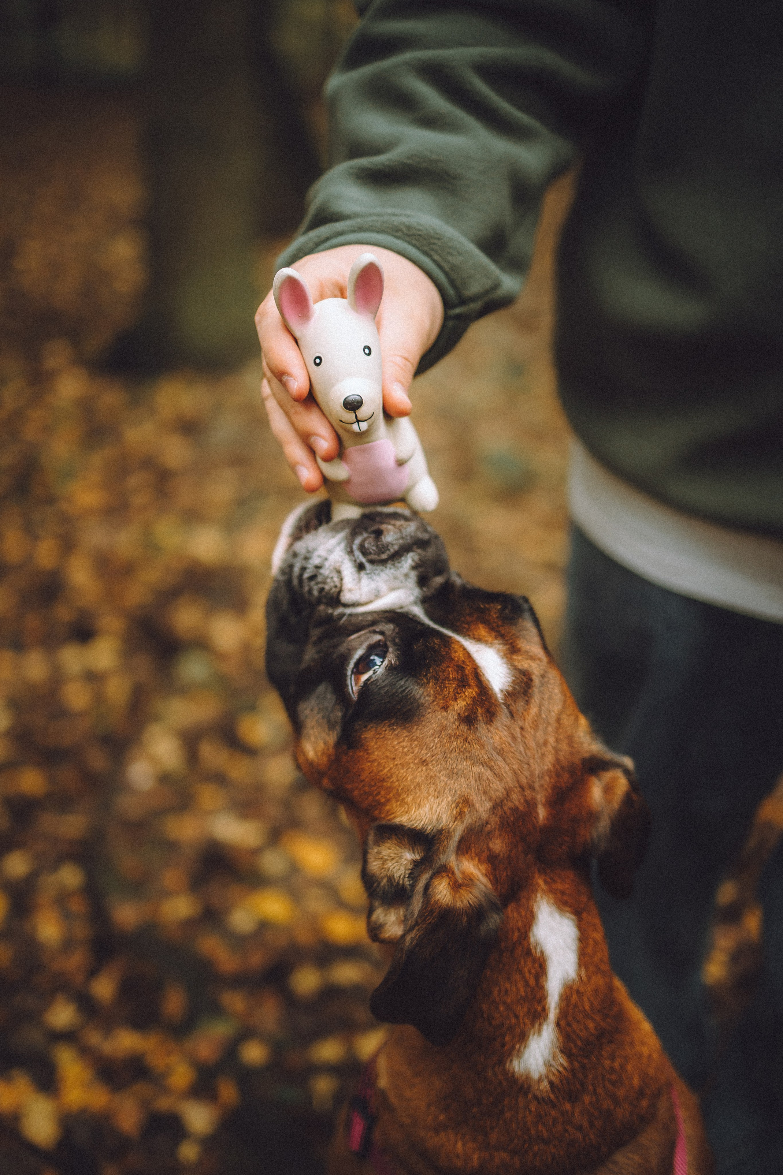 Элли и ее семья