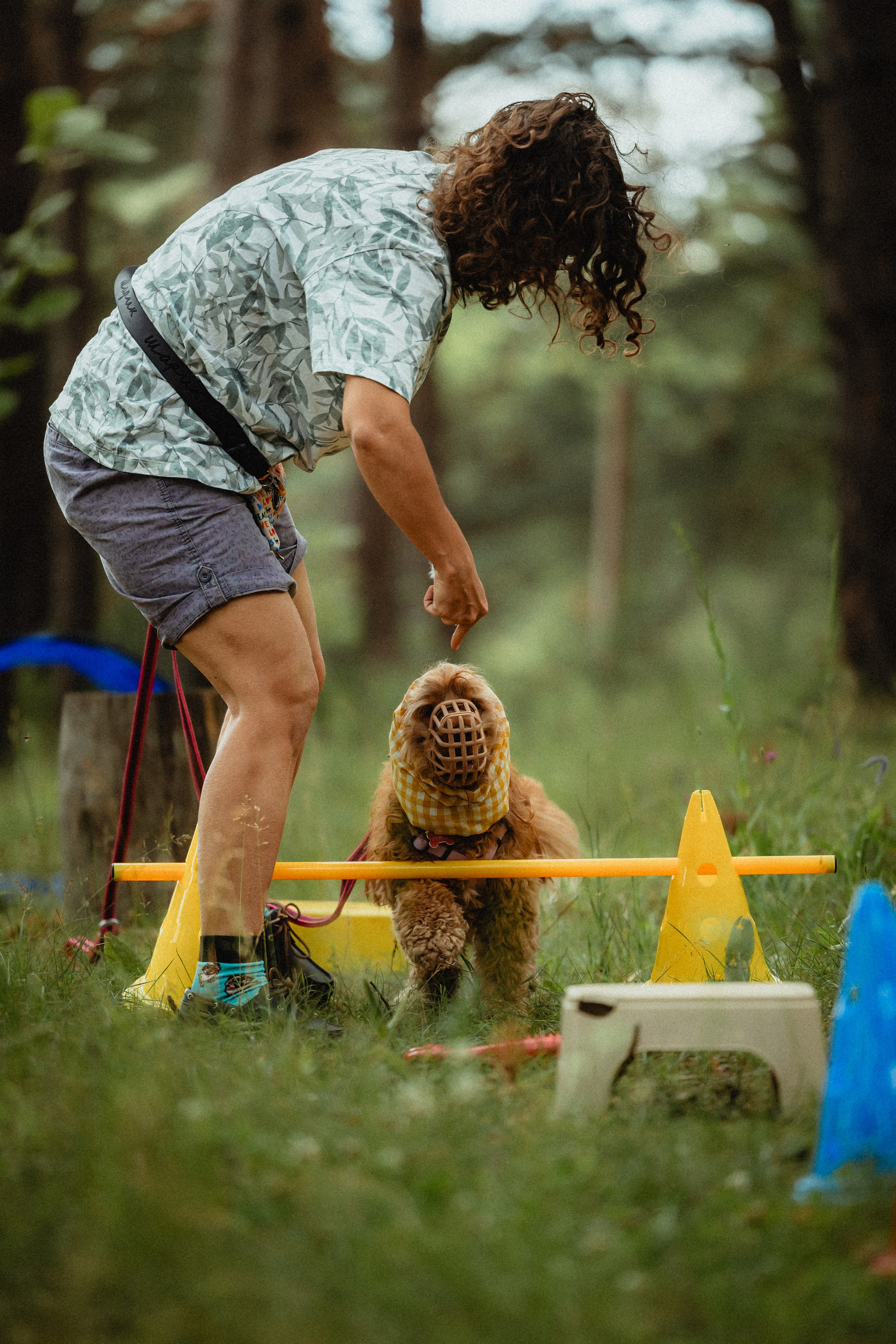 Выездной дог-тренинг от школы «Шерсть имею»