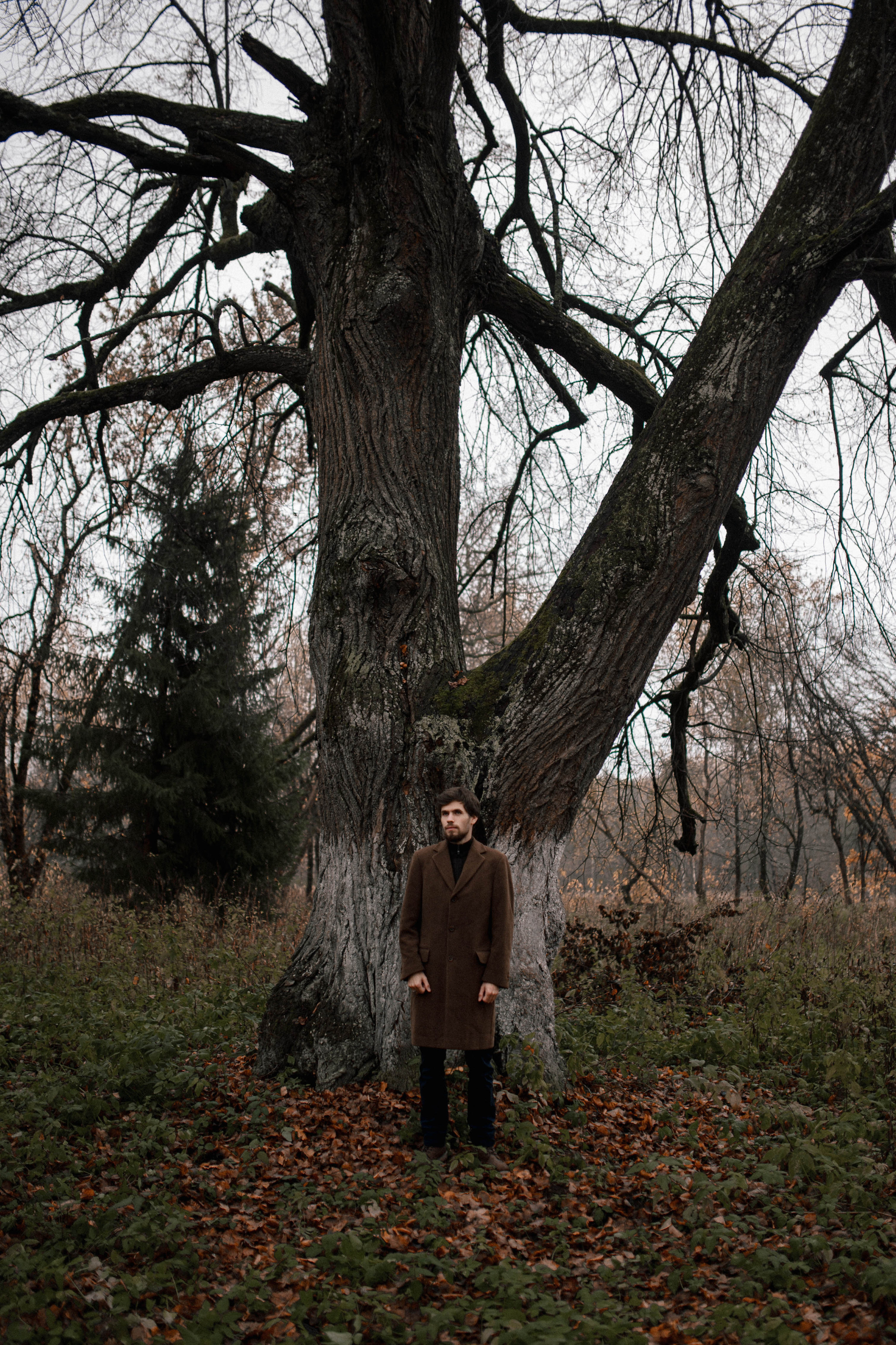 Старинная усадьба. Фотограф Светлана Васильева