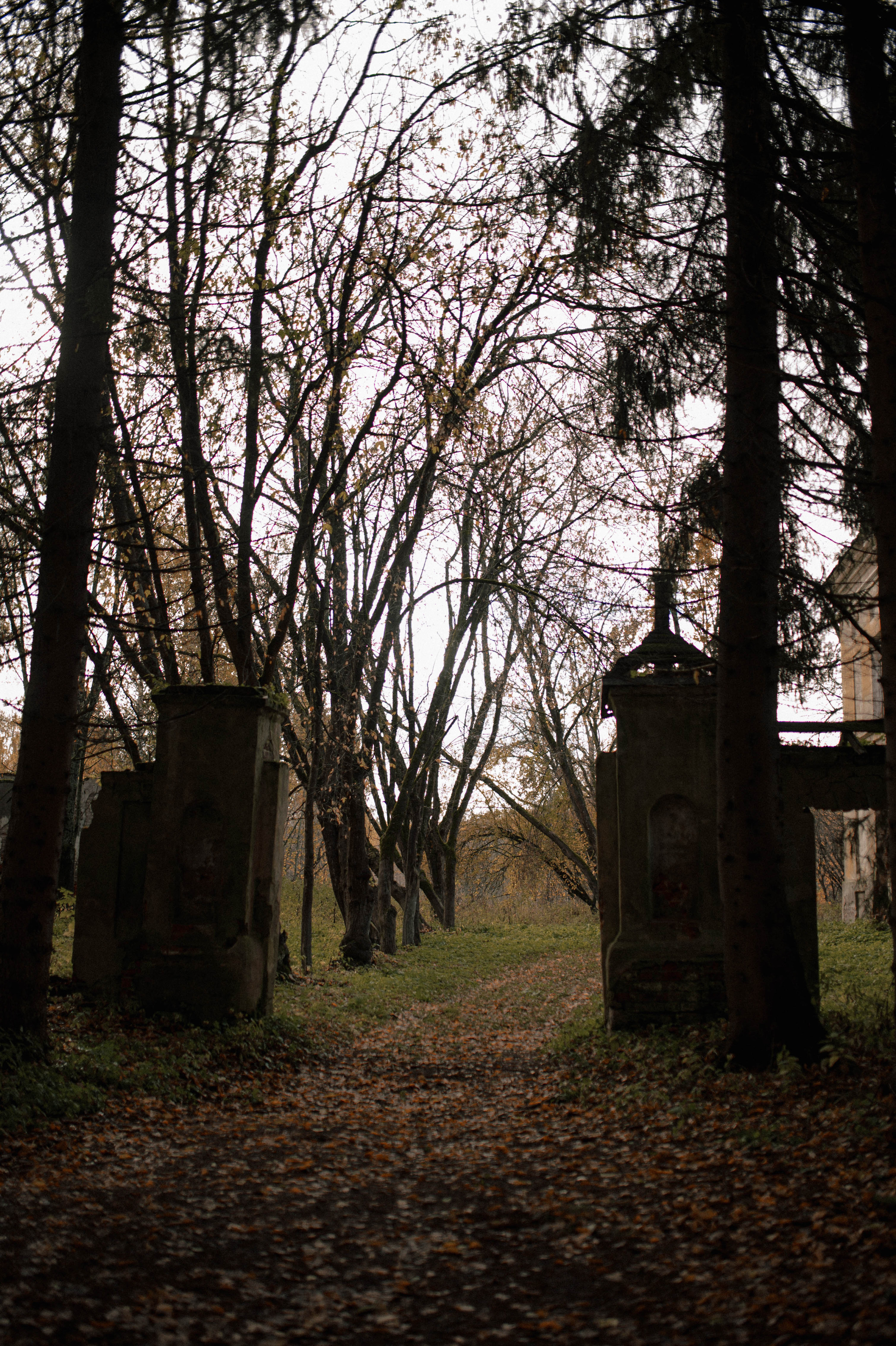 Старинная усадьба. Фотограф Светлана Васильева