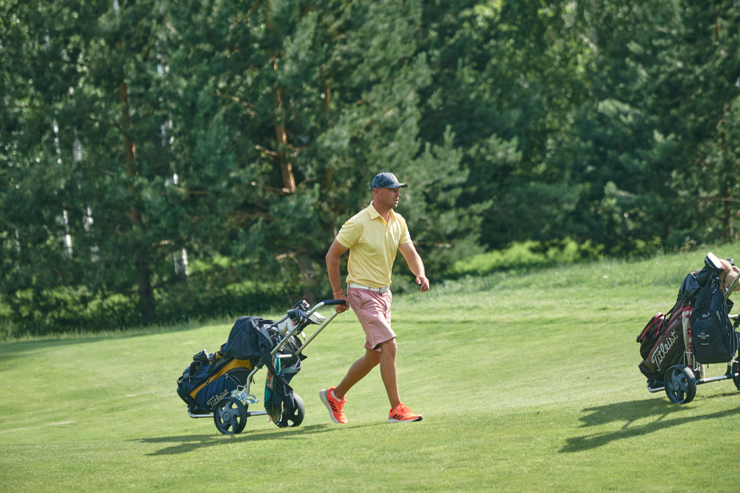 Pine Creek Cup 2024. Академия гольфа NSU в Москве. Тренировки по гольфу для детей и взрослых, тренировки для новичков