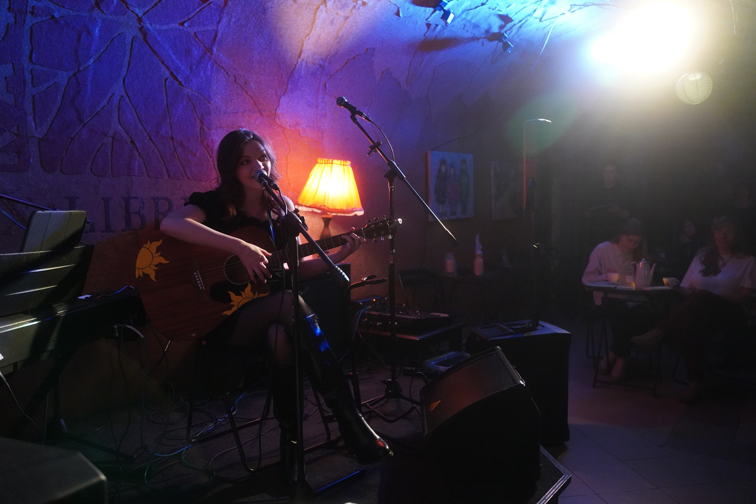 Концерт. Видео и Фото