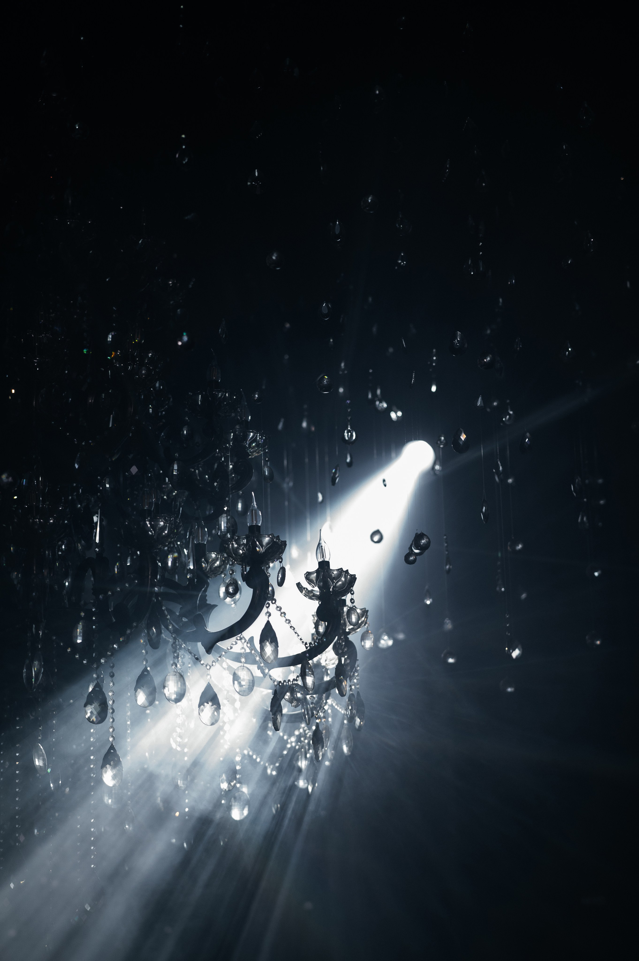 SECRET SHOW. Wedding photographer in Moscow and around the world Andrey Medvednikov