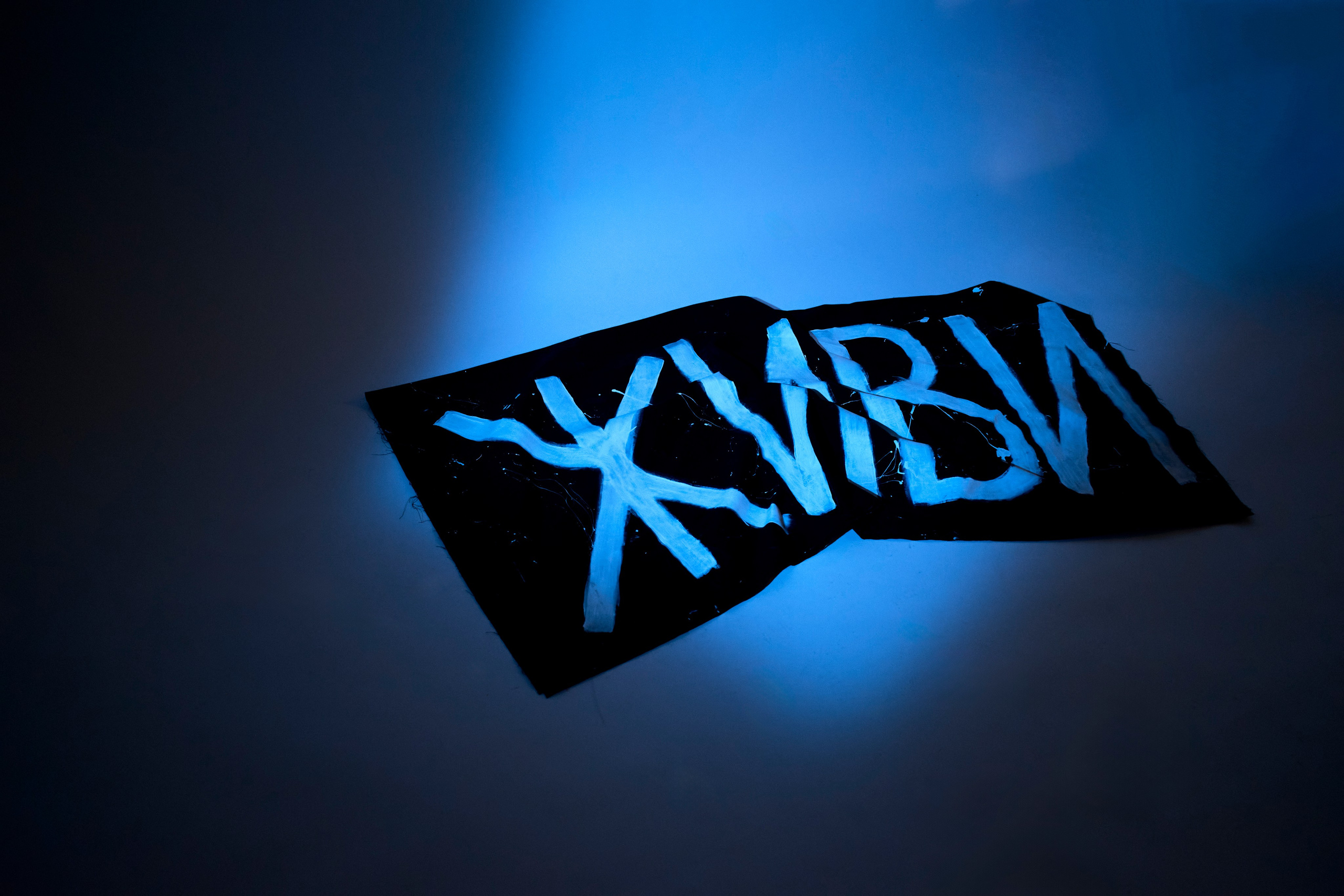 Панки. Фотограф в Спб Арина Чеглакова