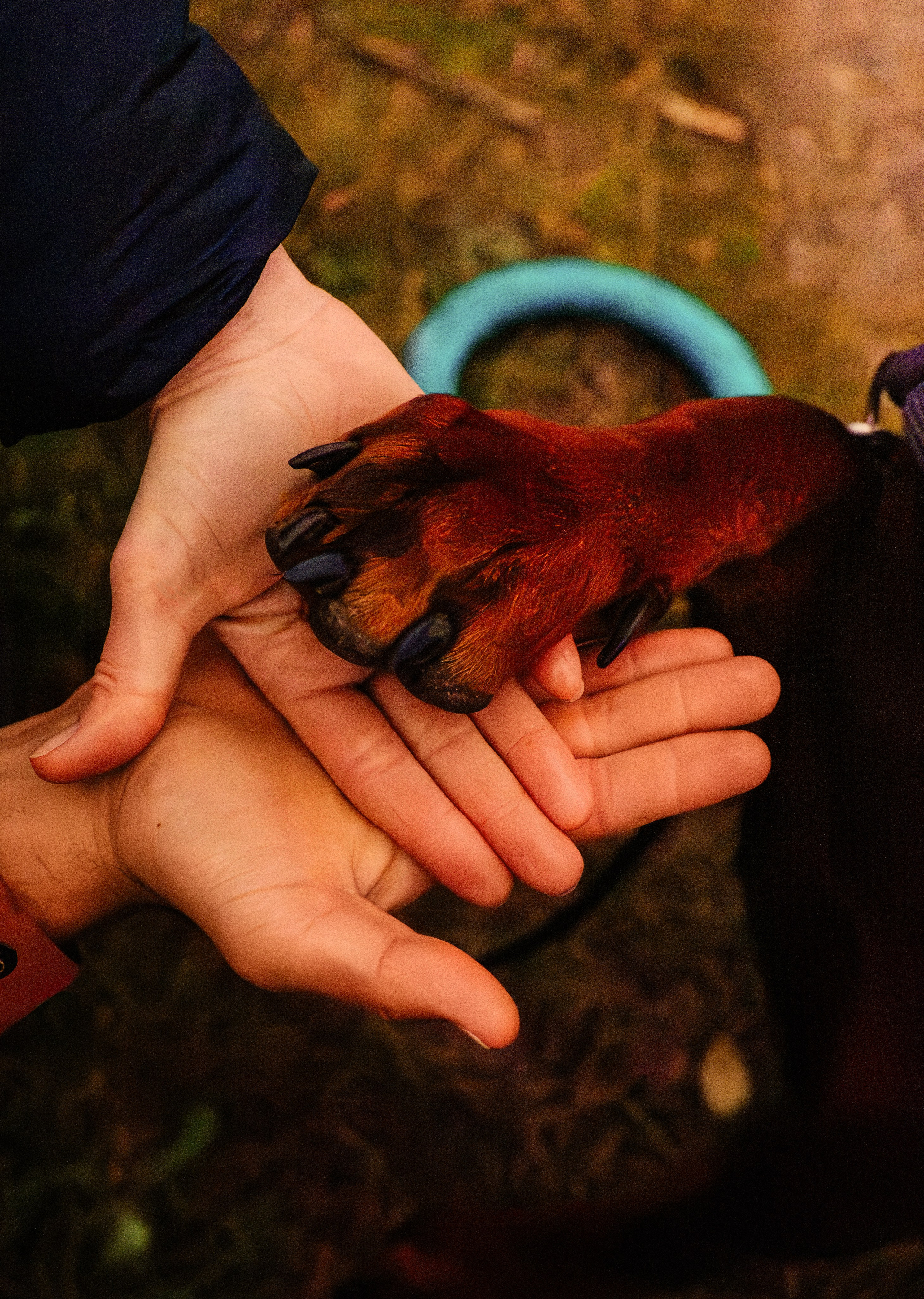 Семья Стенцель. Юлия Чайко, фотограф в Минске