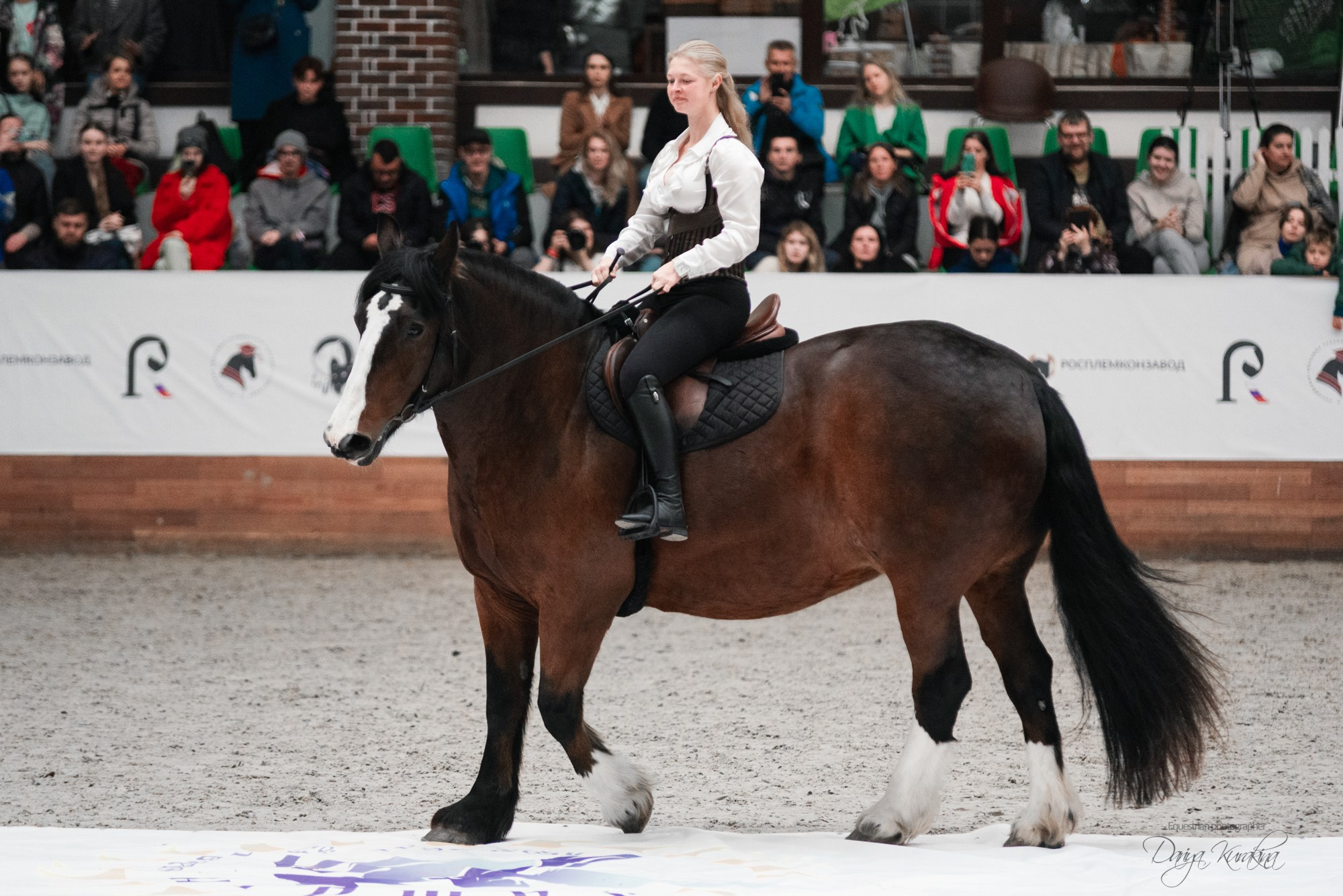 8-я международная выставка Конная Россия. Конный фотограф Куракина Дарья • Фотосессии с лошадьми