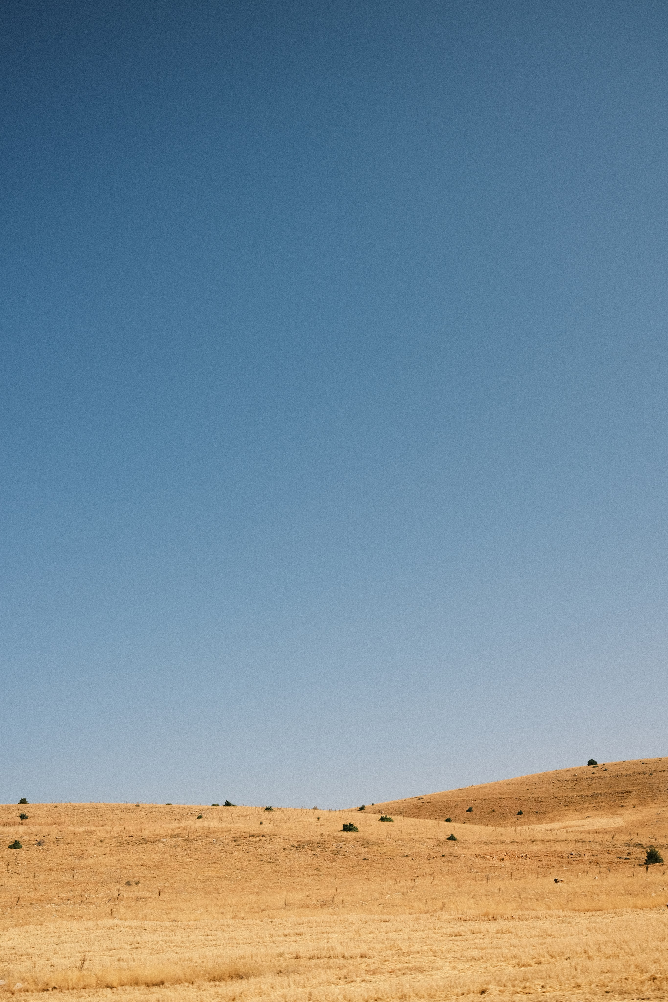 Nowhere and Everywhere. Портретный фотограф