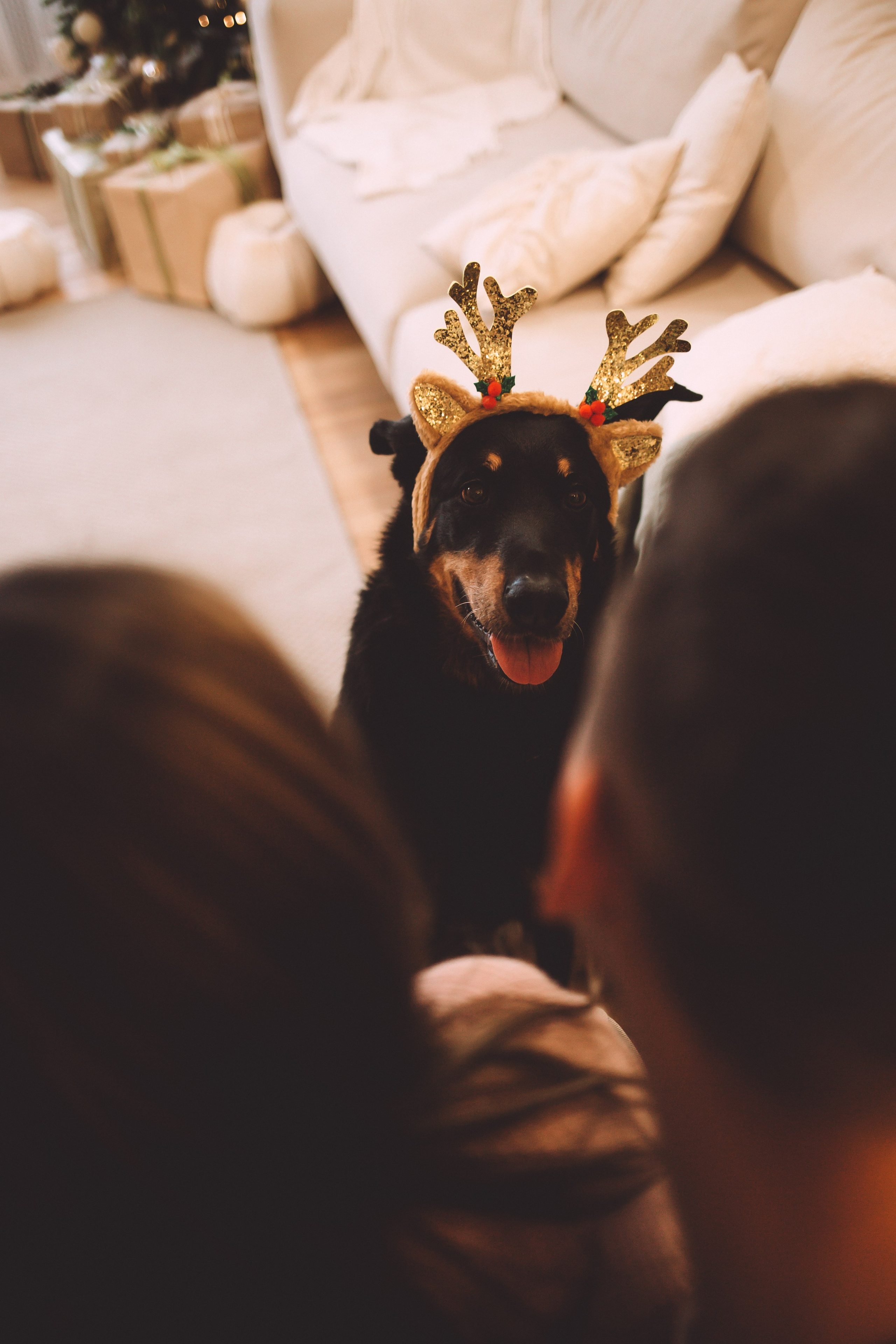 Антон & Полина. Анна Михайлова|Свадебный фотограф в Санкт-Петербурге