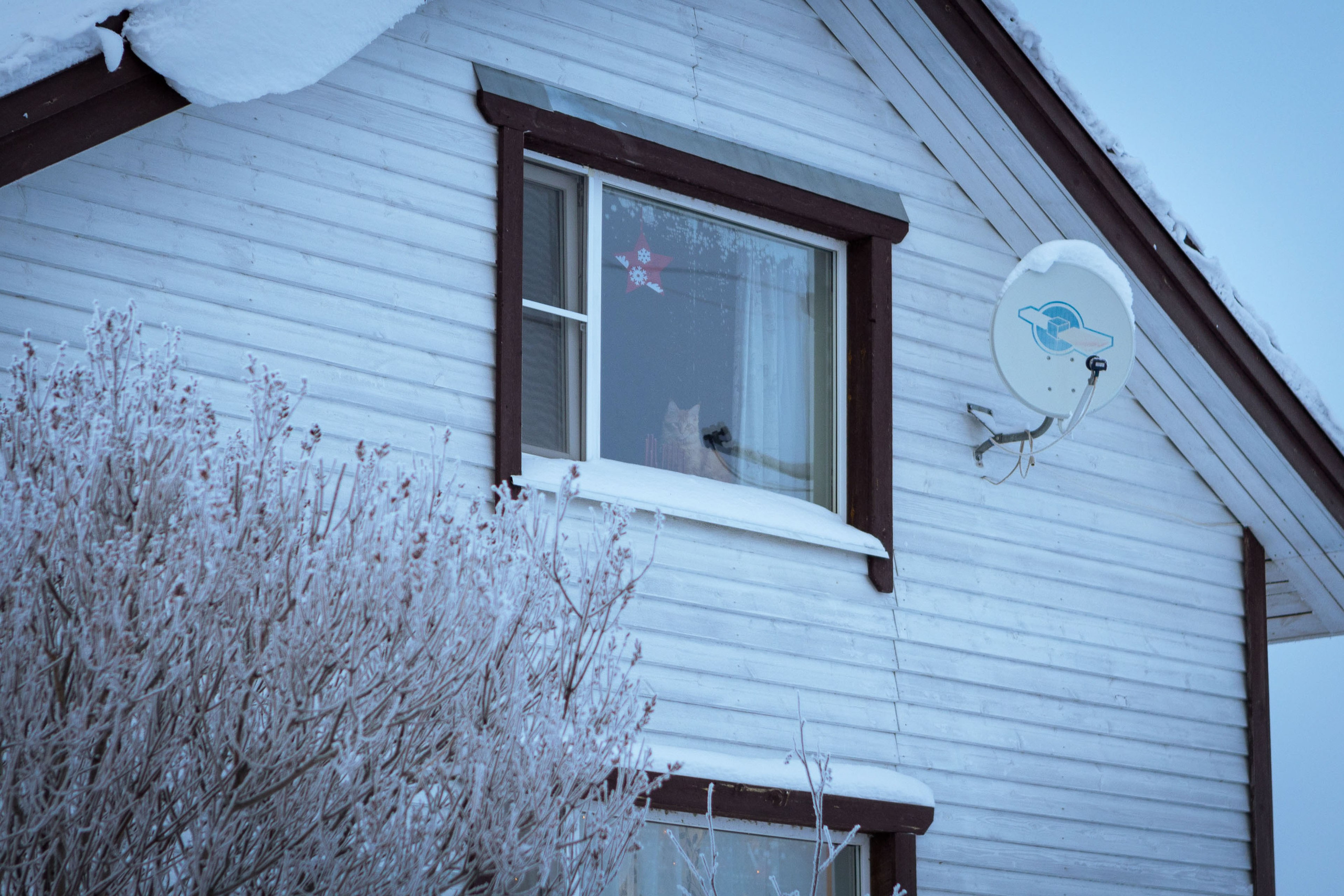 Калевала (зима 2022). Фотограф Виноградов Константин