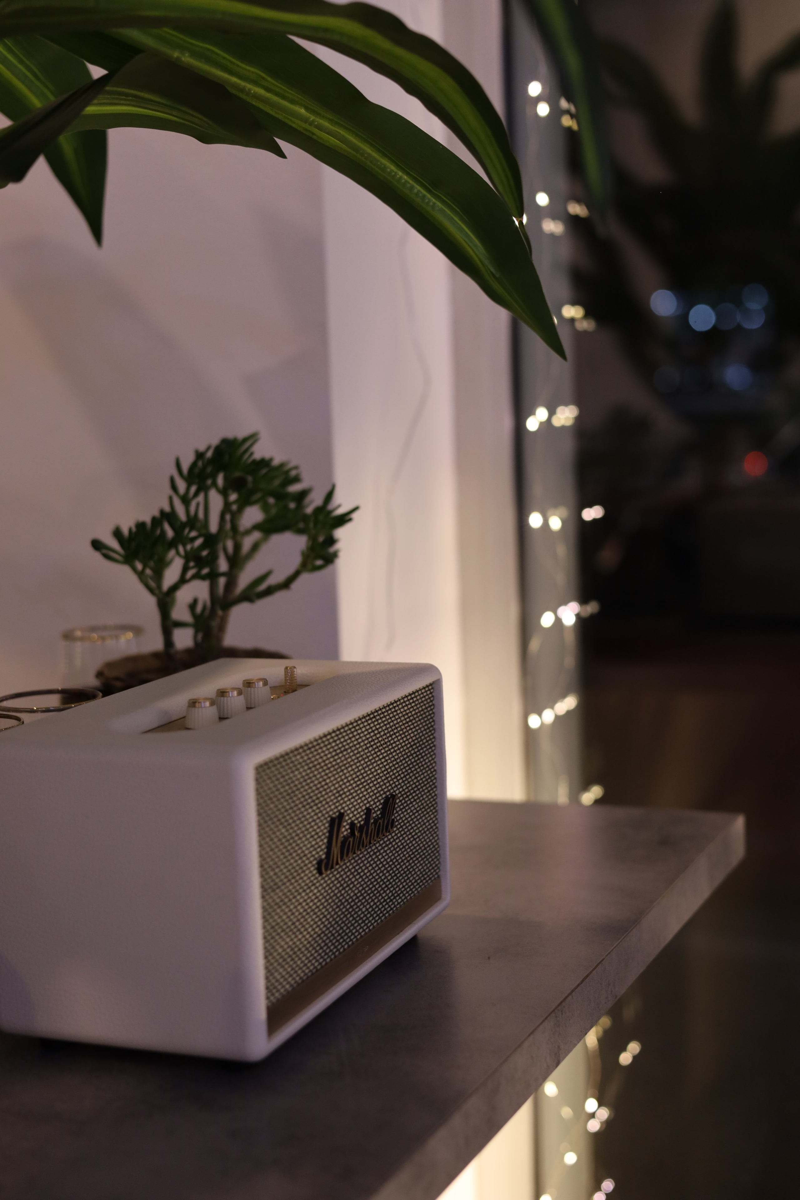 Маникюрная студия | Тбилиси. Света Шувалова — фотограф и видеограф в Тбилиси