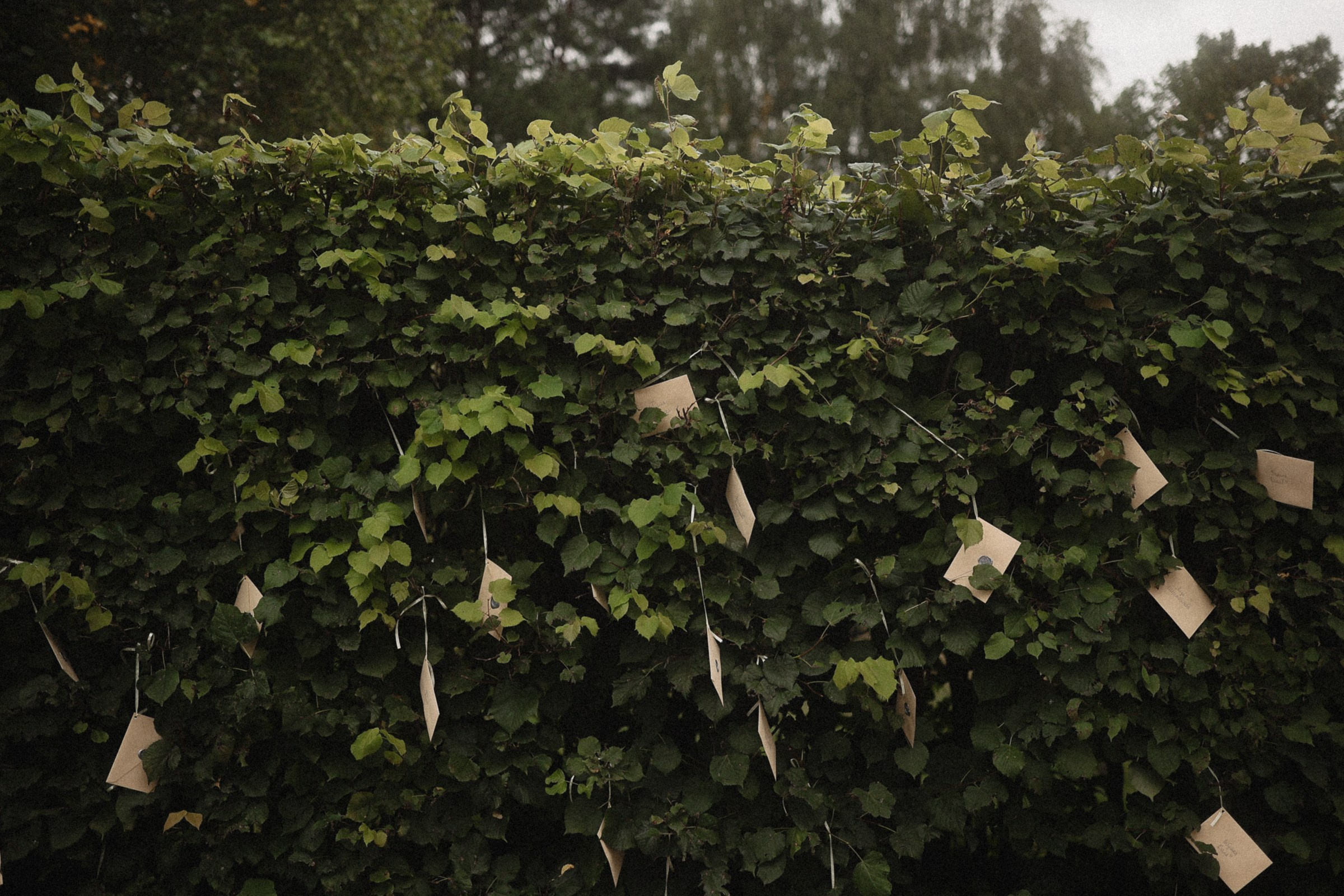 Ты — мой O₂. Свадебный и семейный фотограф Москва, Спб, Крым Игорь Сазонов