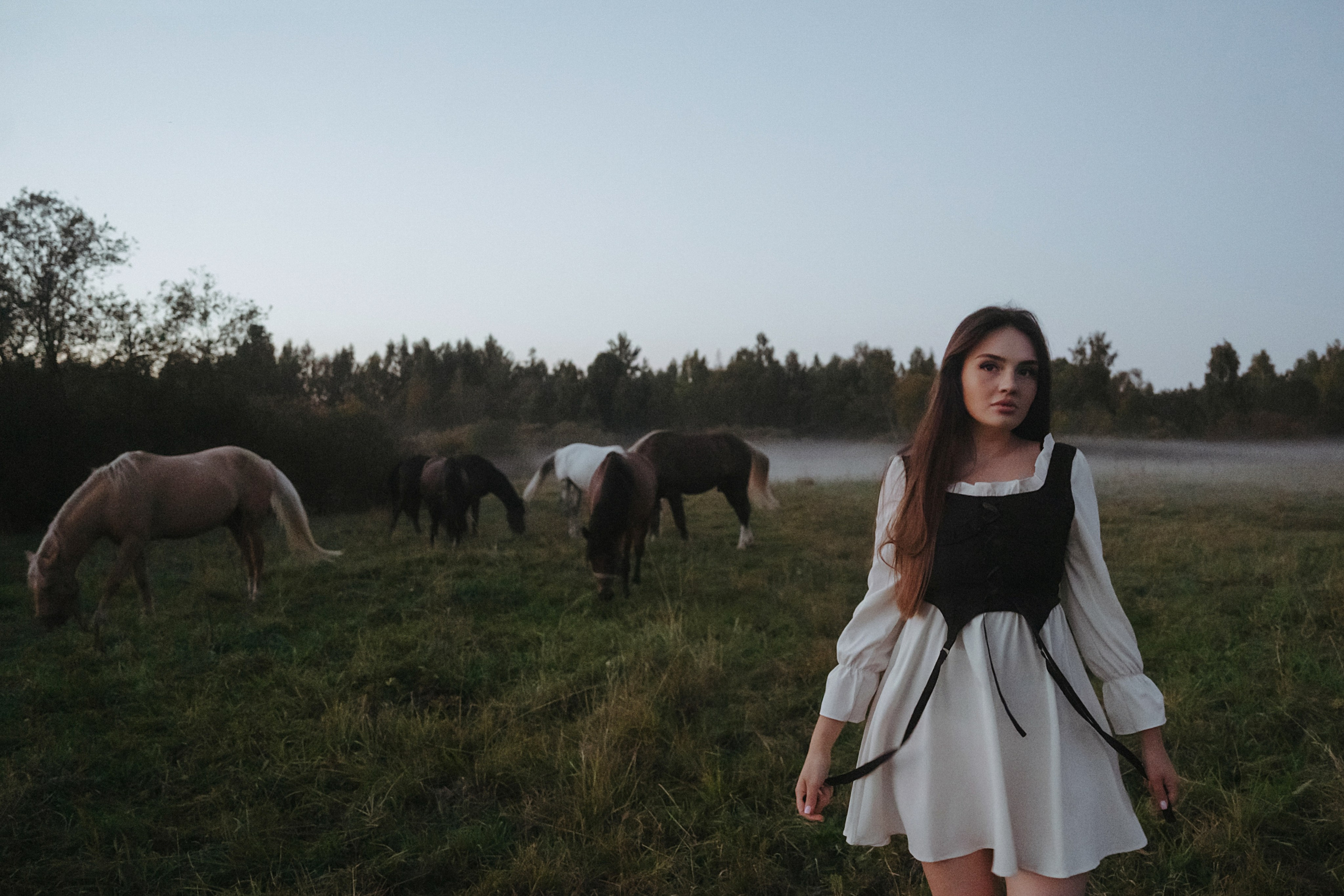 Конные. Главная