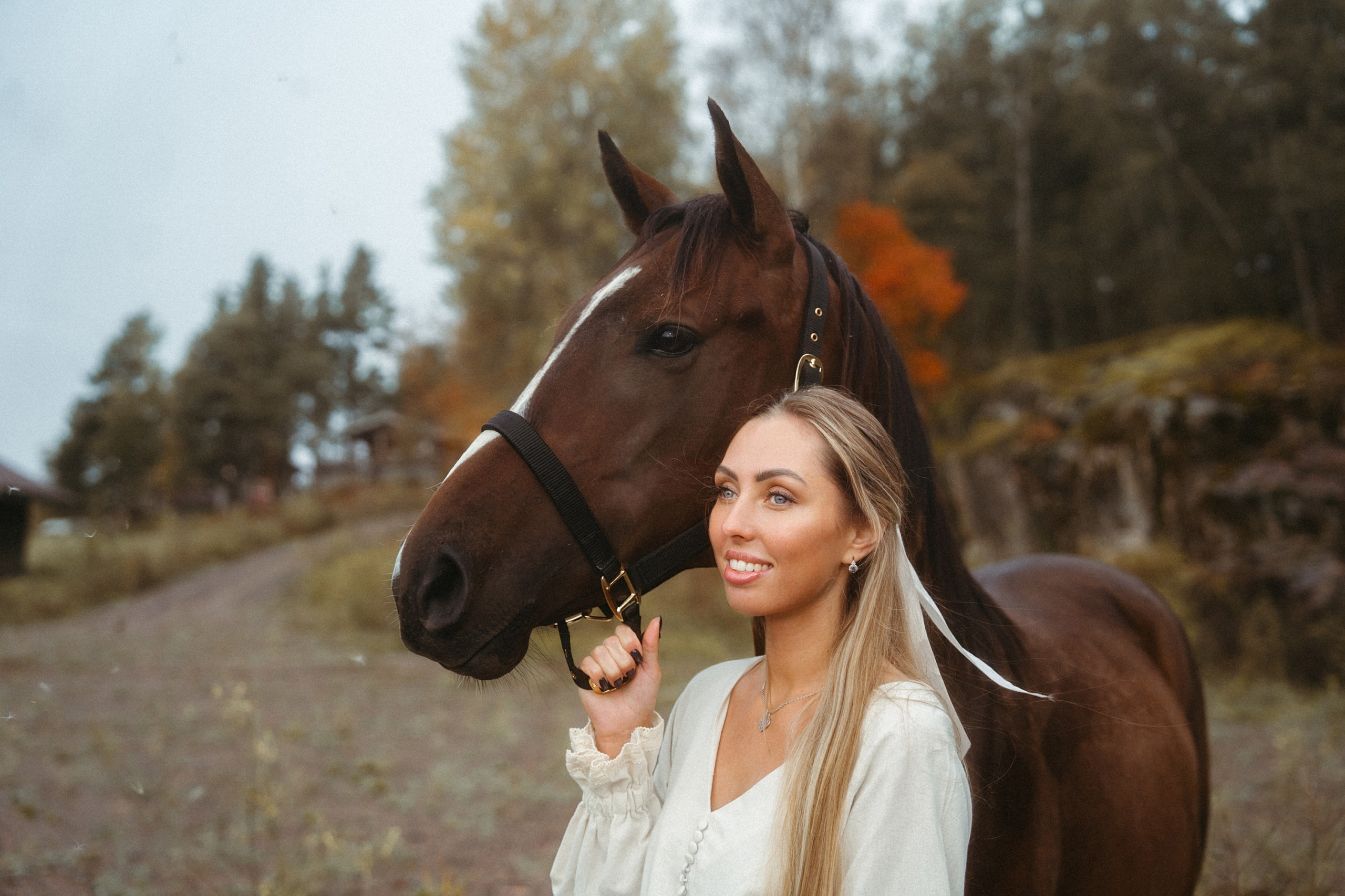 Конные. Главная