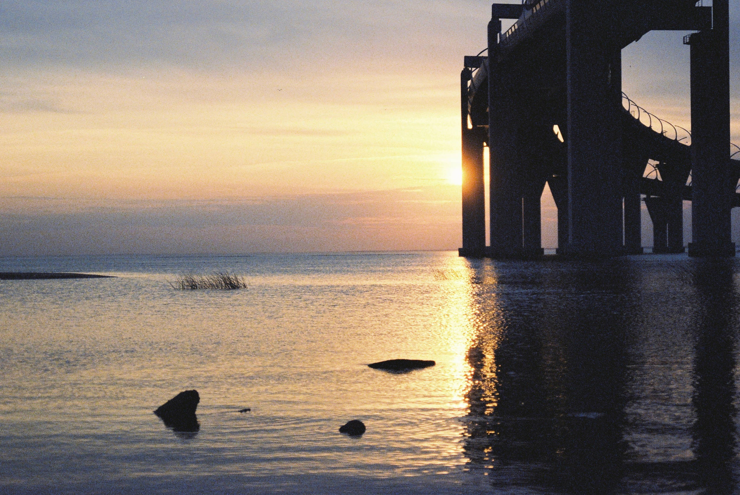 Плёнка. Фотограф в Санкт-Петербурге Надежда Гордюшина