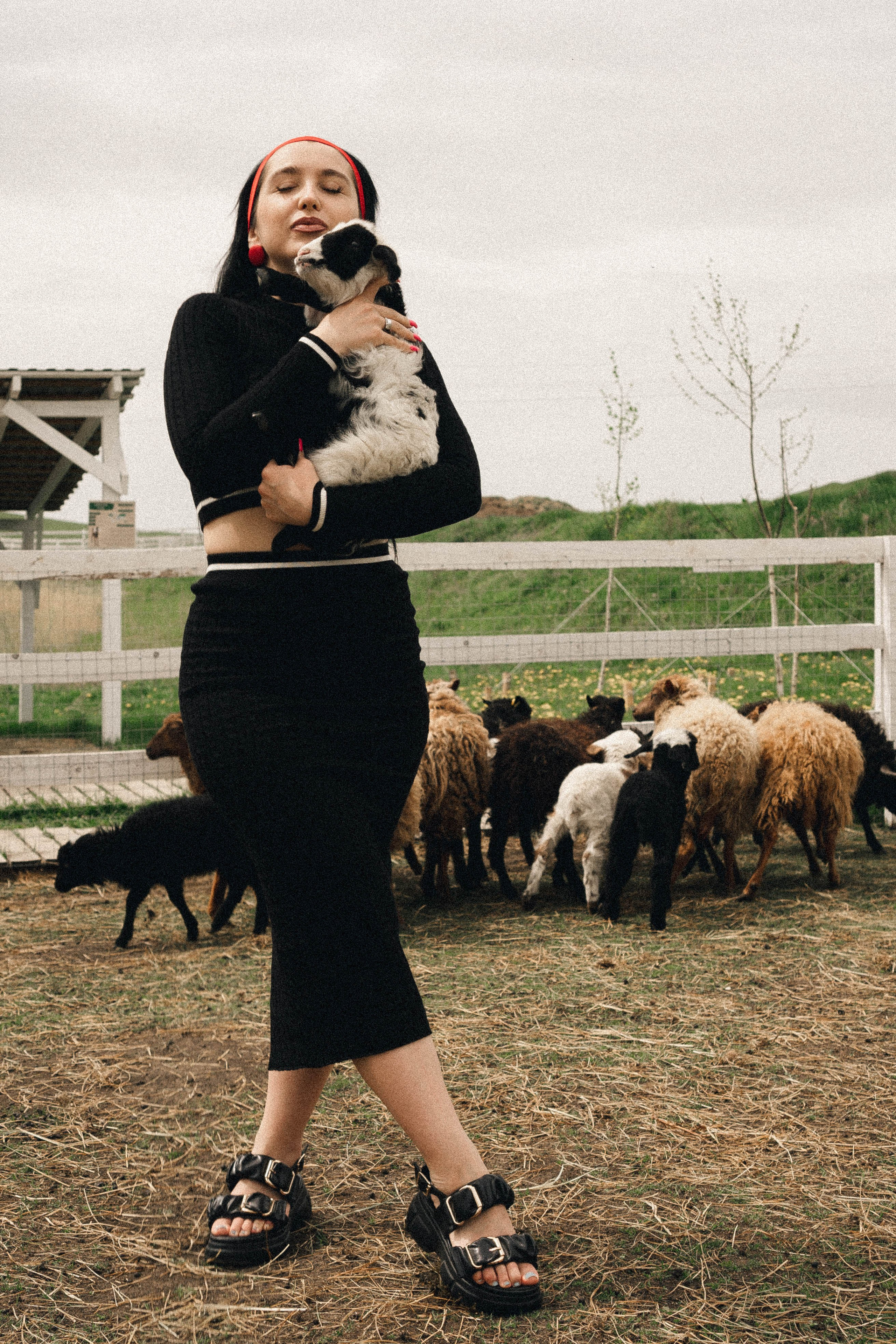 Ферма Альпак. Профессиональный фотограф, Санкт-Петербург — Виктория Богомолова