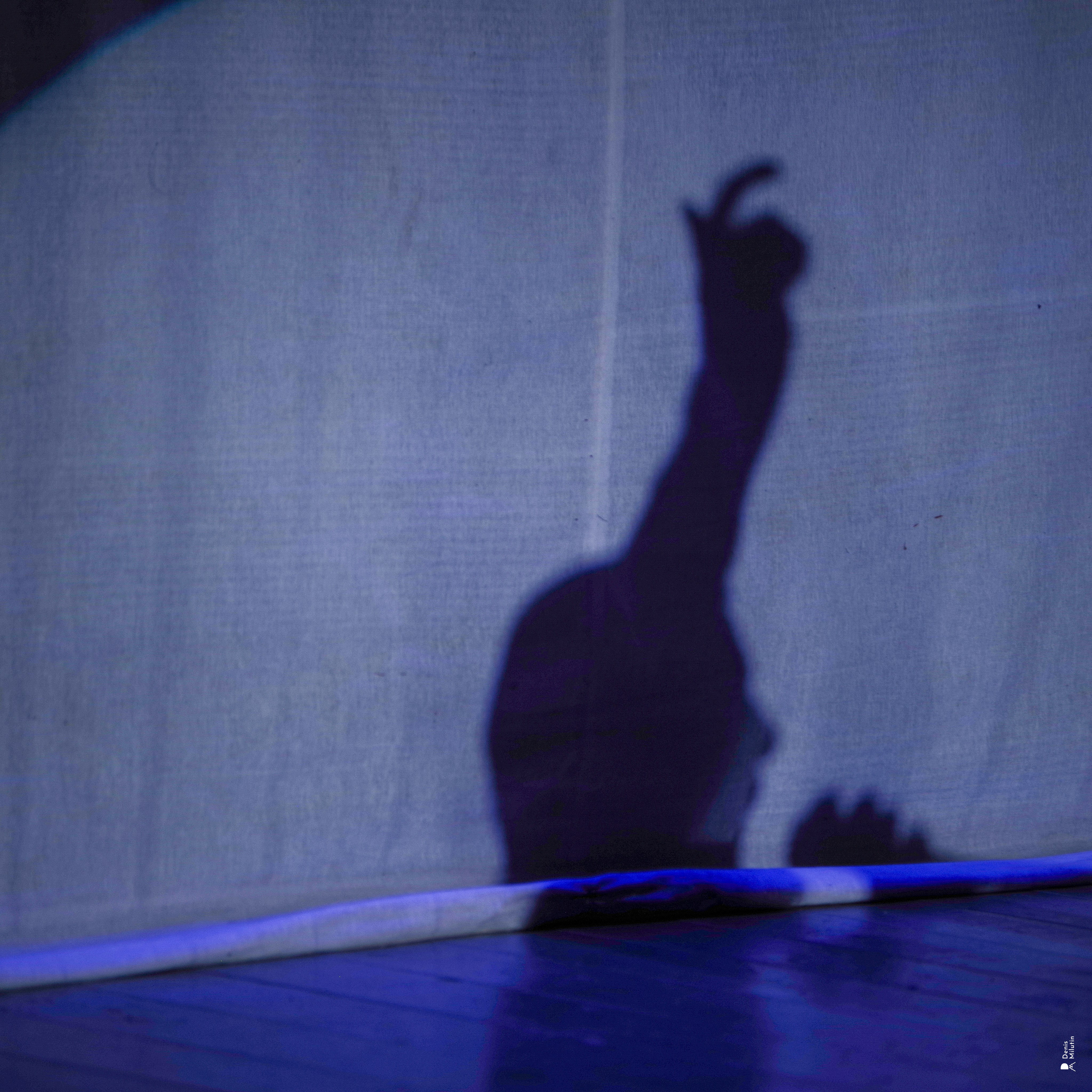 ლიკა გაბუნია. Портретный фотограф Денис Милютин