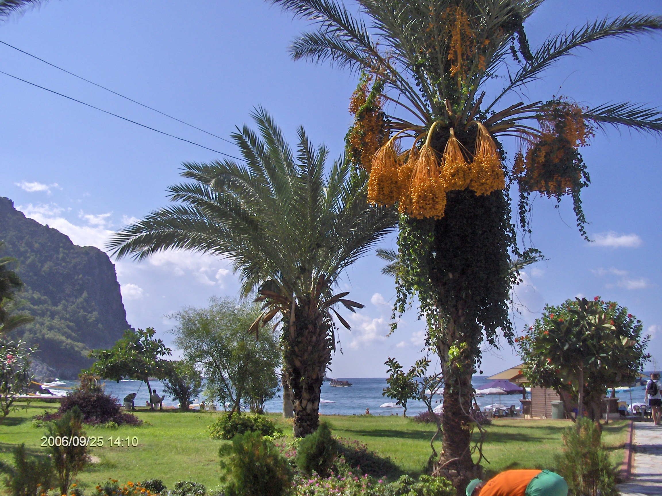 Алания, Конаклы 2006. Избранные фотографии