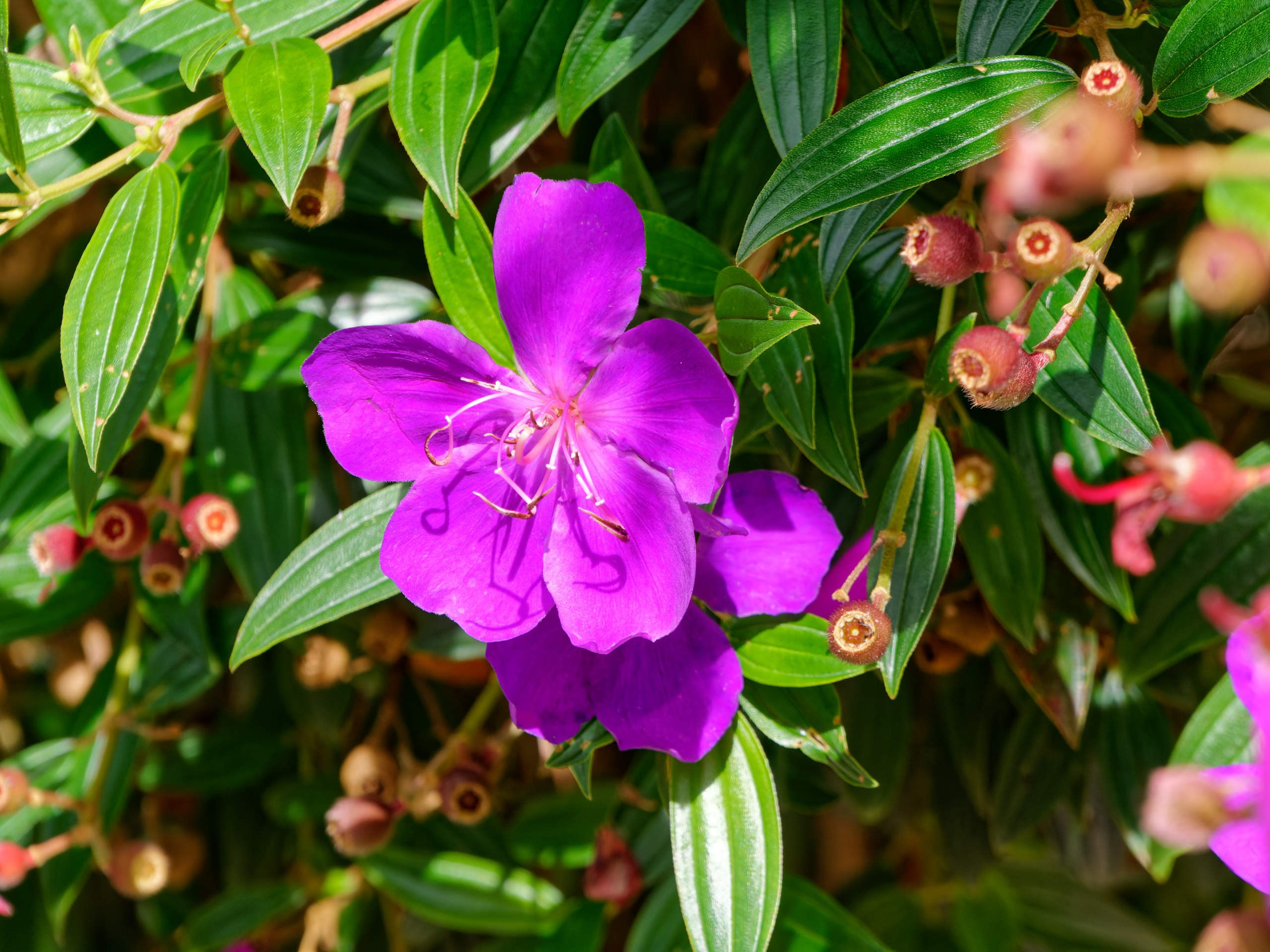 Далат 2023. Избранные фотографии