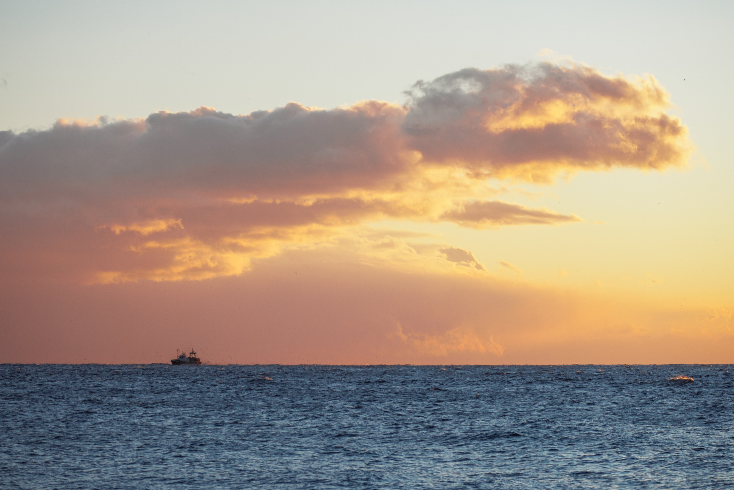 Nature. Артем Корнев Фотограф