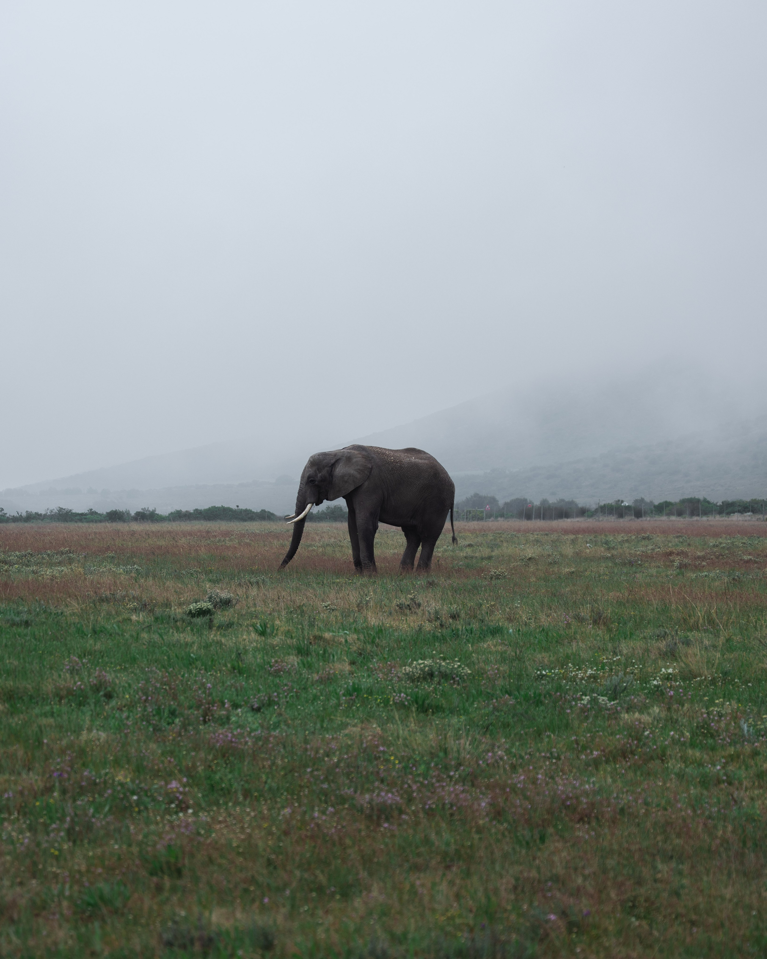 Africa/UAR. @oljiofilm: Олег Иванов — фотограф