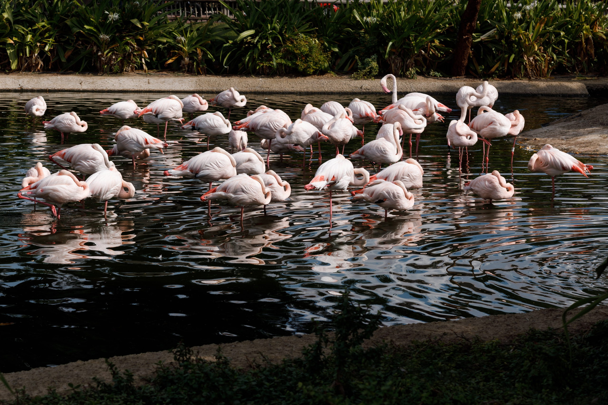 Дубай 2023. Руслан Плахтеев