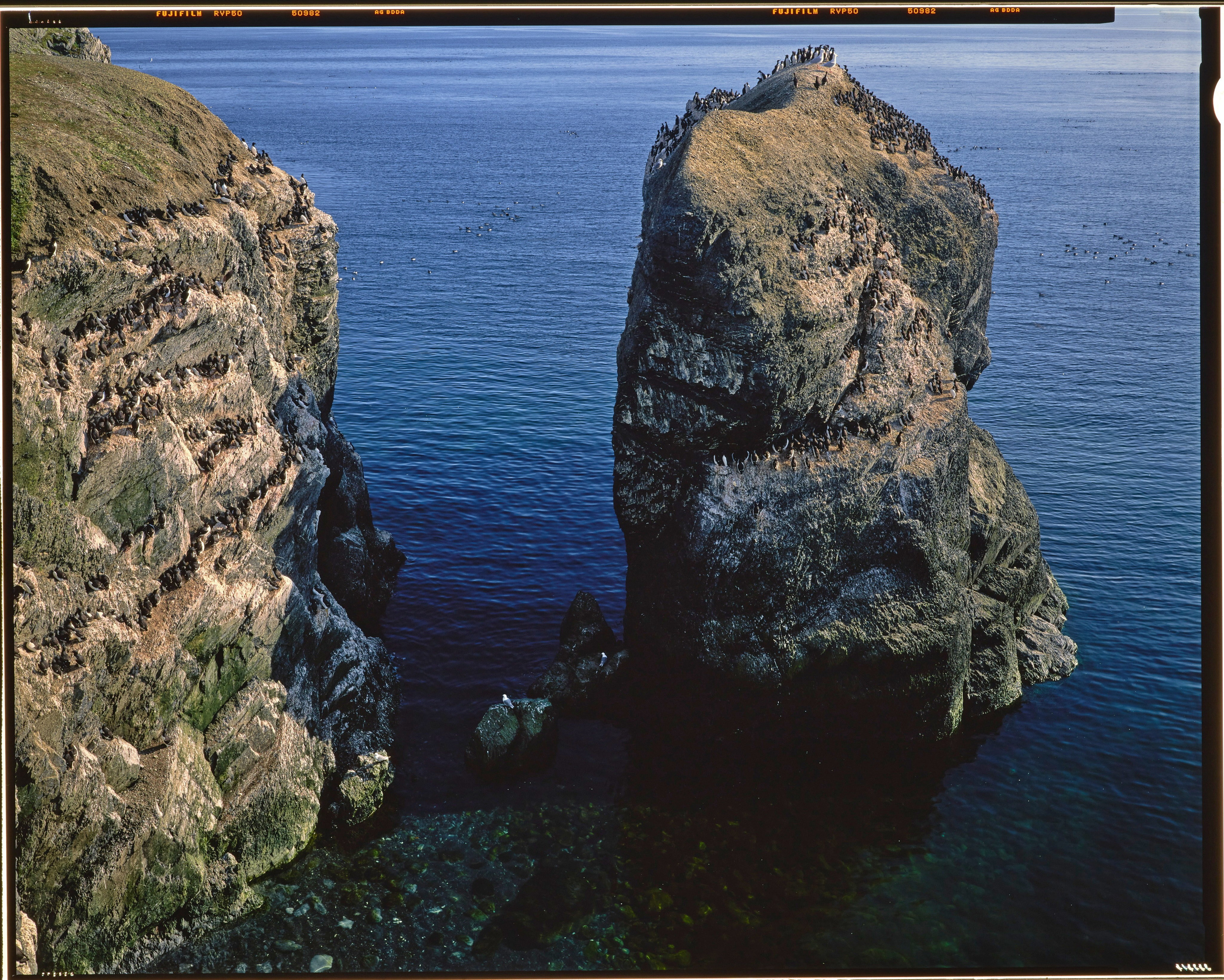 Полевая фотосъёмка форматными камерами. Multica. Мастерская камер большого формата