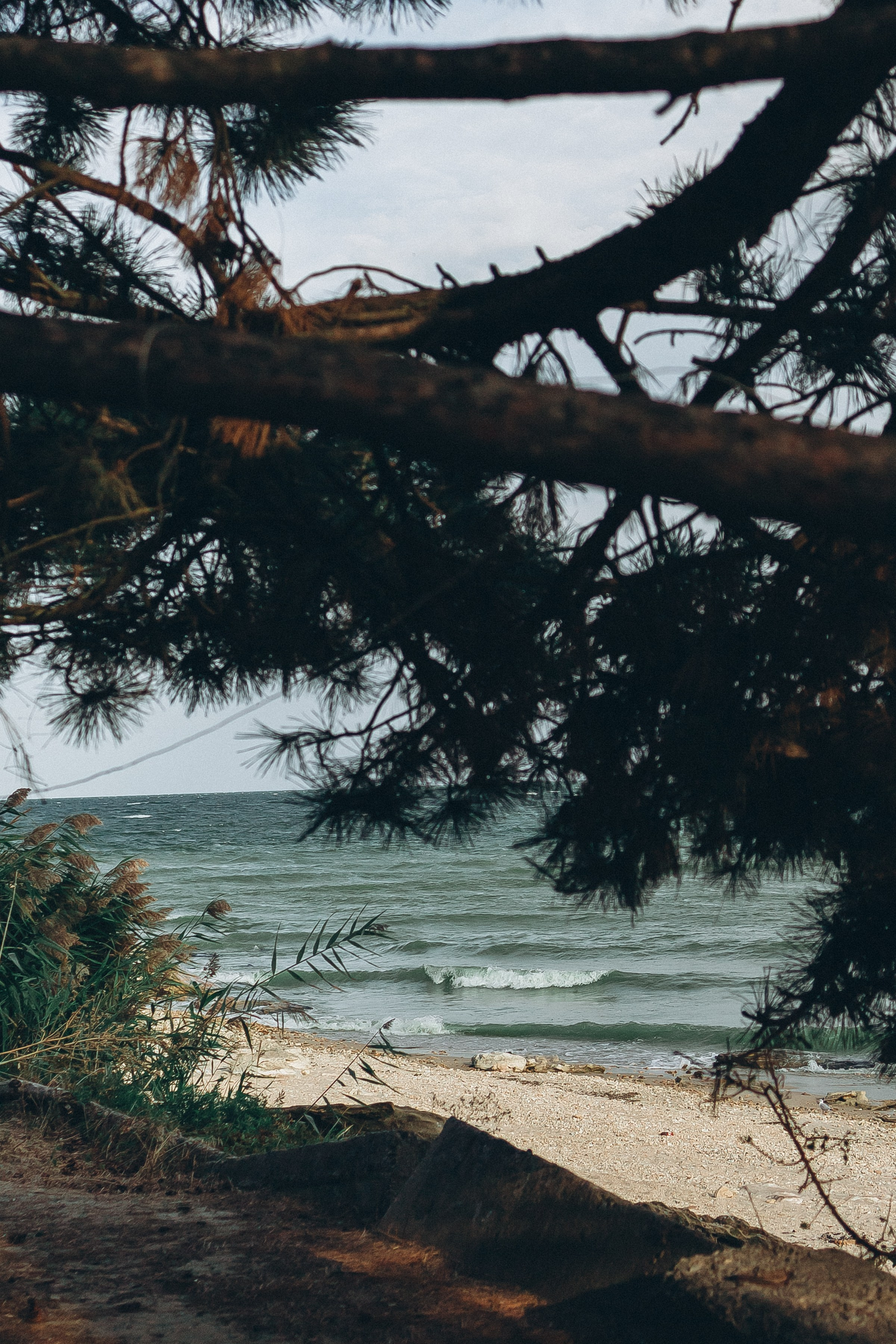 Антон и Даша в ожидании. Семейный фотограф в Волгодонске Краченцева Анна