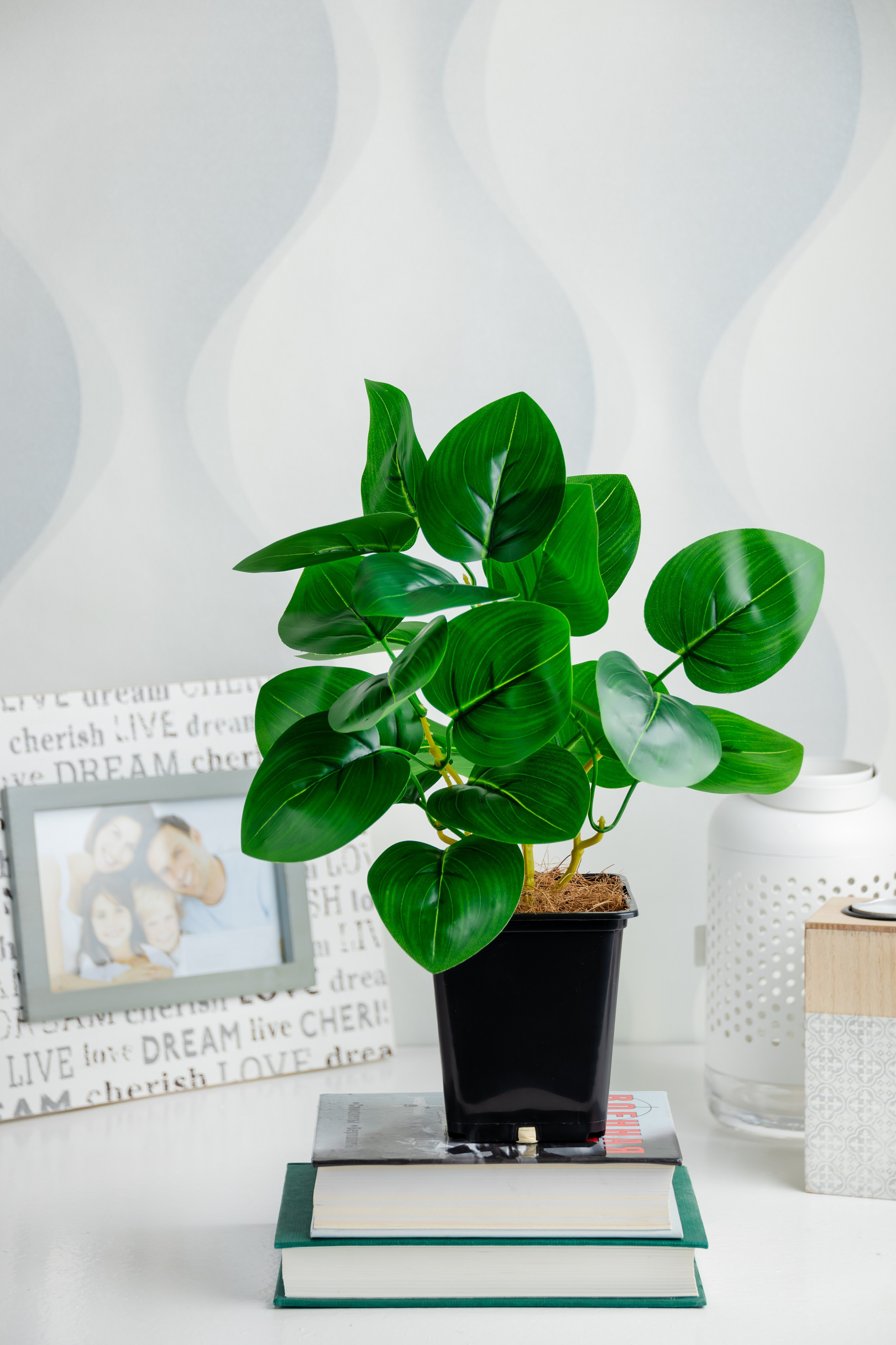 Товары для дома. Предметный фотограф Надежда Яхонтова