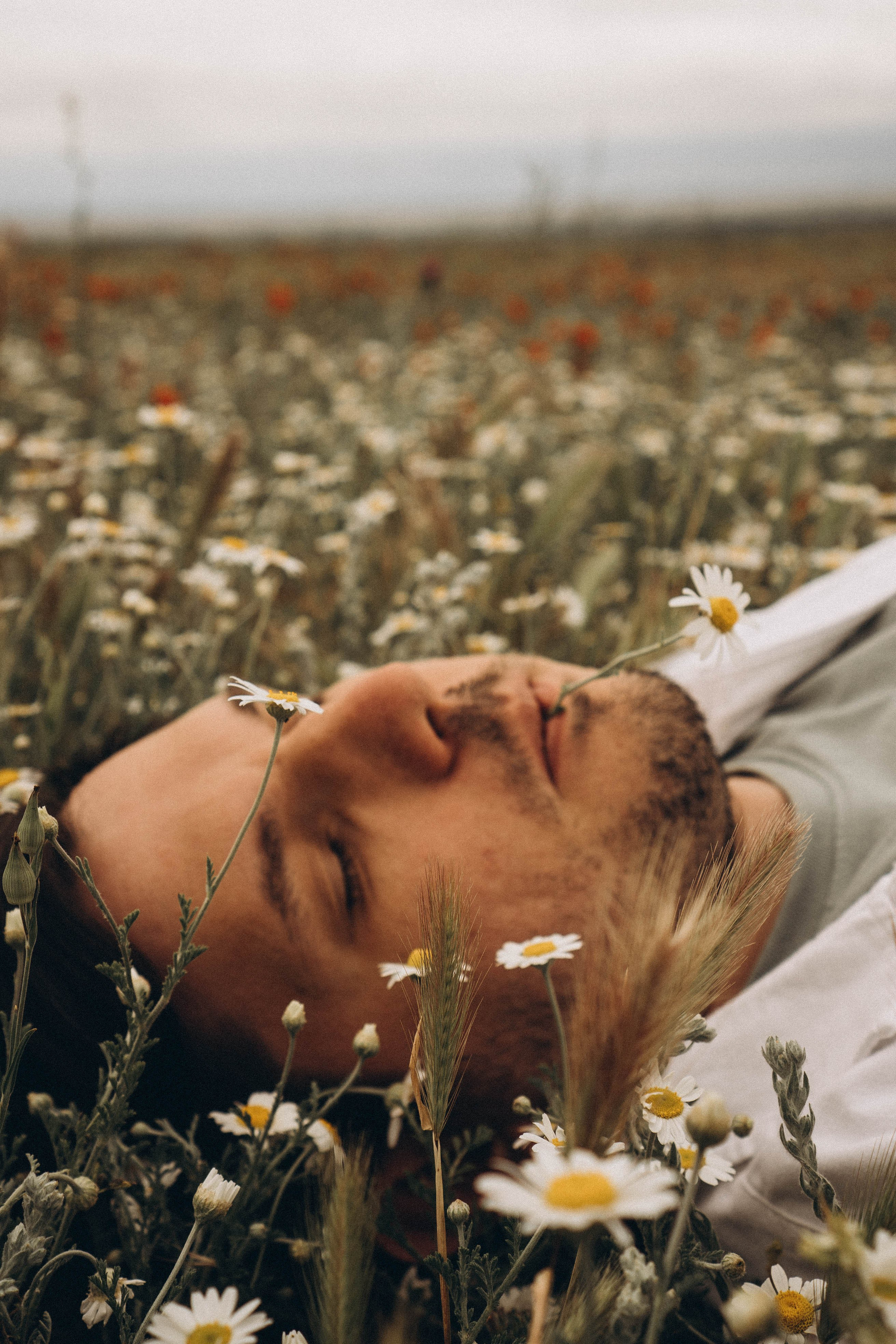 Маки. Профессиональный фотограф, Санкт-Петербург — Виктория Богомолова