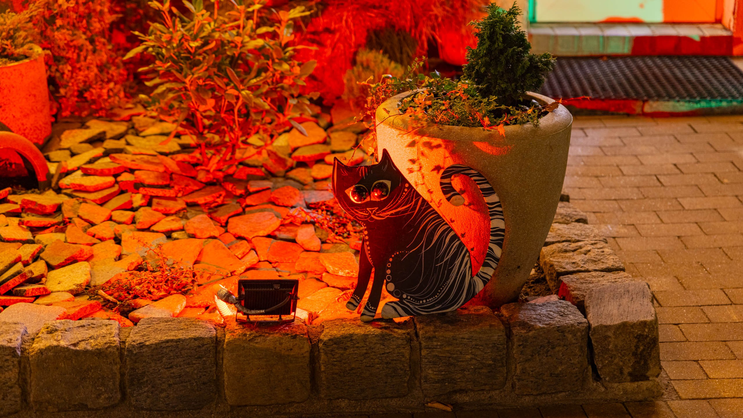 2024 10 Зеленоградск, Светлогорск, Куршская коса. Фотографии