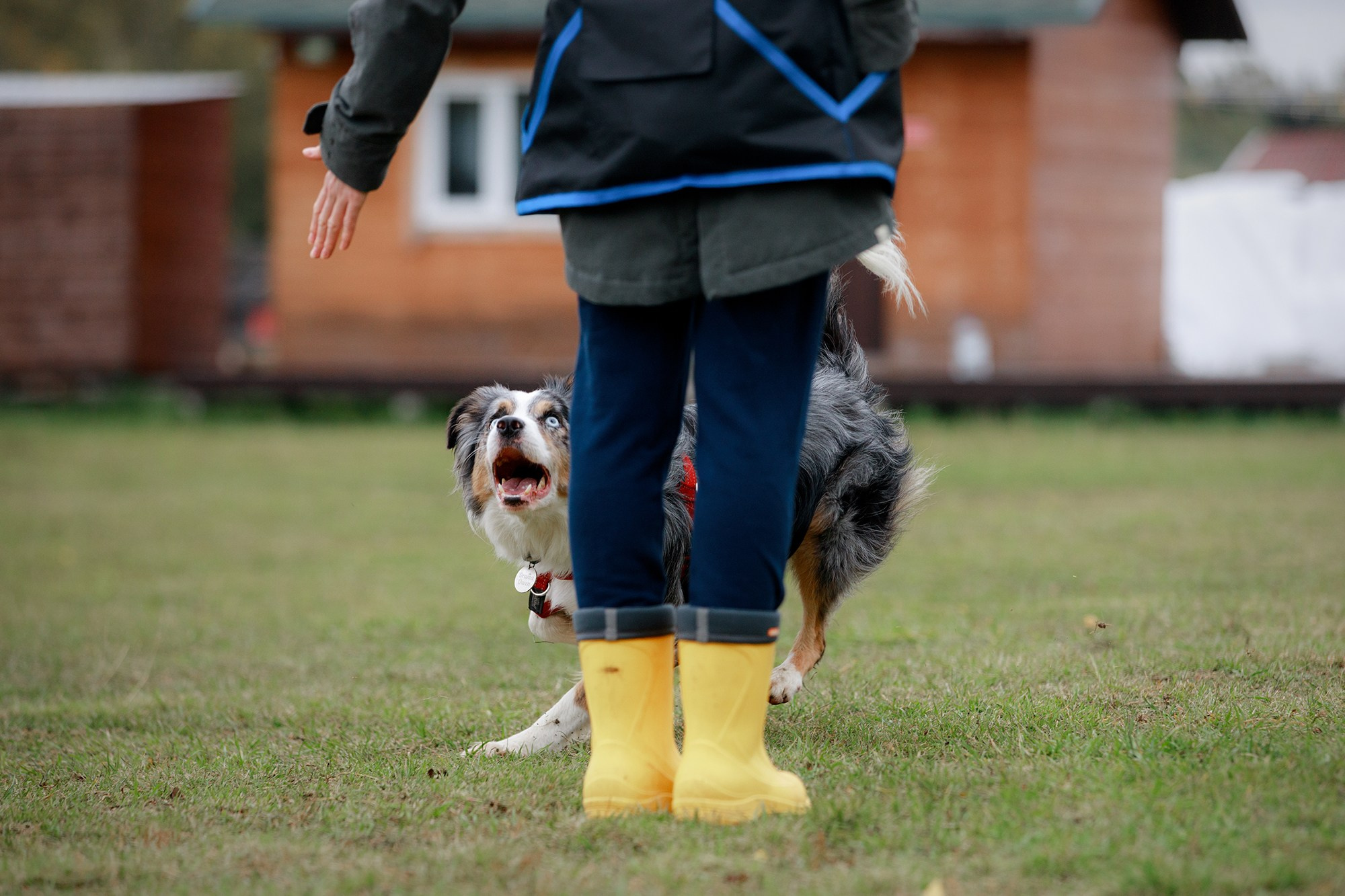 Лагерь по ОБД с Инной Баженовой. Фотограф-анималист Mary Mart — Москва, Питер