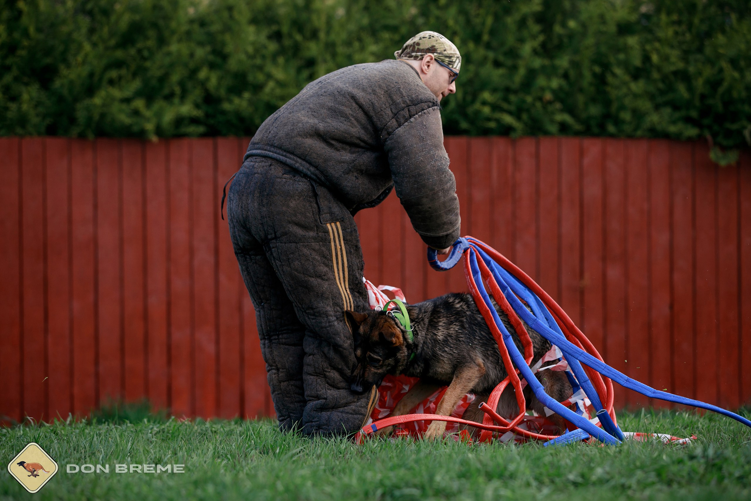 Семинар для фигурантов, день 2. Фотограф-анималист Mary Mart — Москва, Питер
