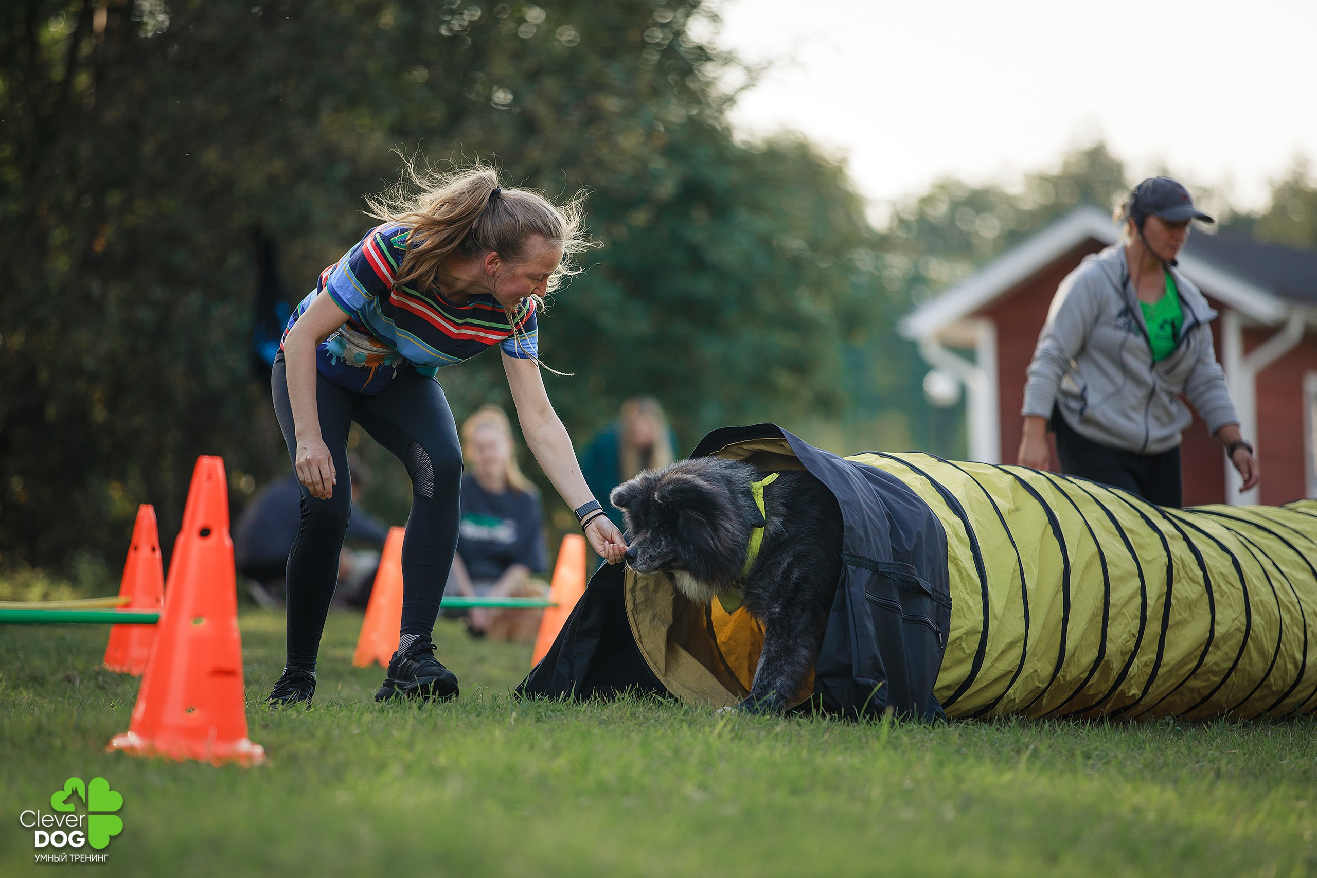 Кинологический лагерь CleverDog, 2024. Фотограф-анималист Mary Mart — Москва, Питер