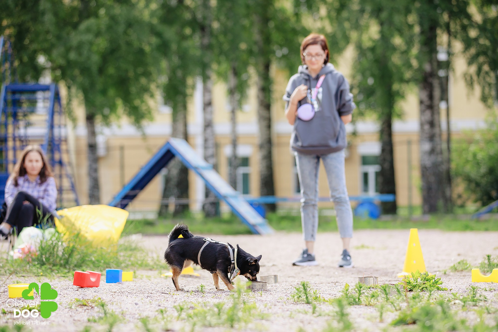 Семинар по поиску запаха с Иваном Ломовым, организатор CleverDog, СПб. Фотограф-анималист Mary Mart — Москва, Питер