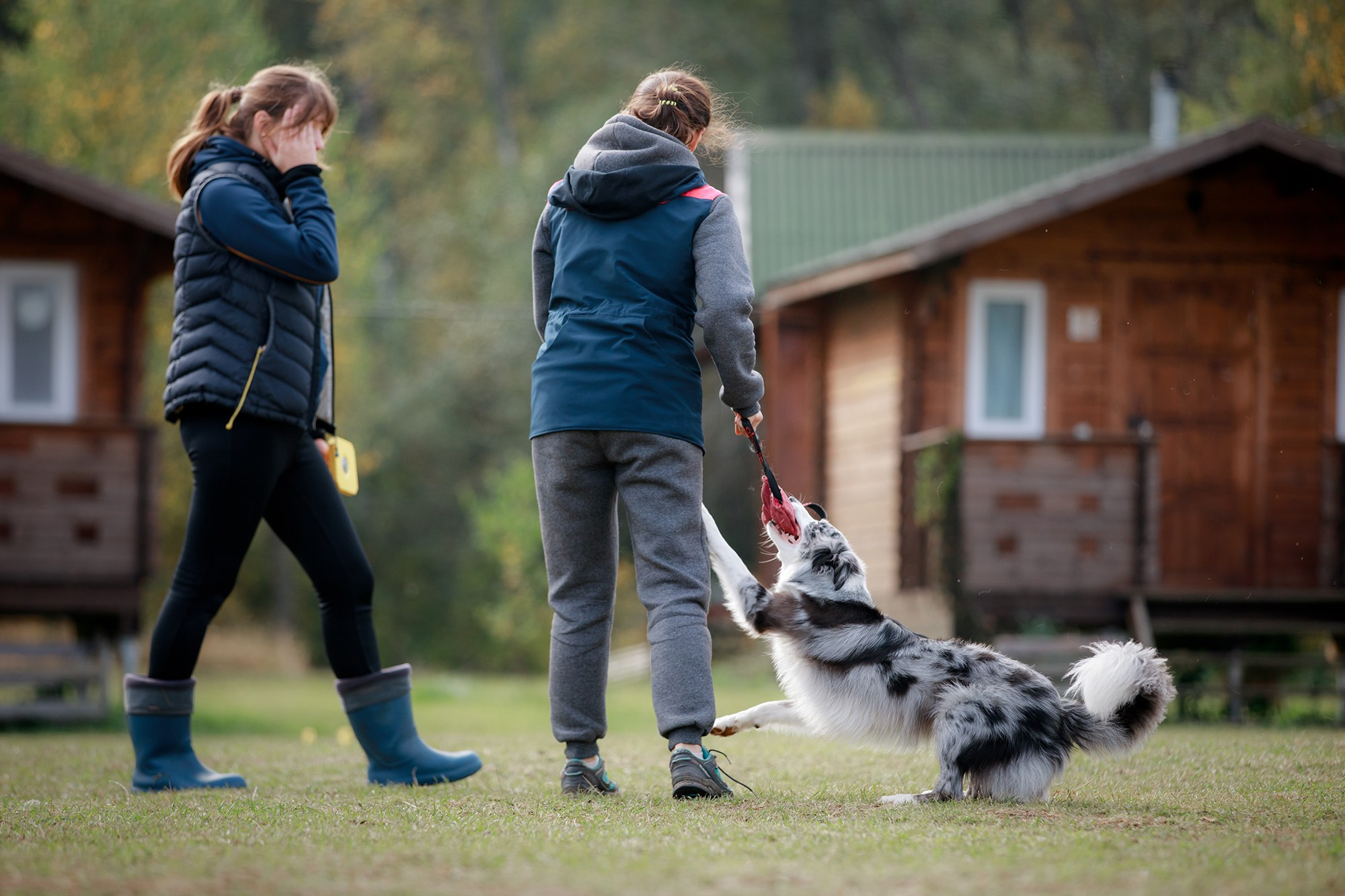 Лагерь по ОБД с Инной Баженовой. Фотограф-анималист Mary Mart — Москва, Питер