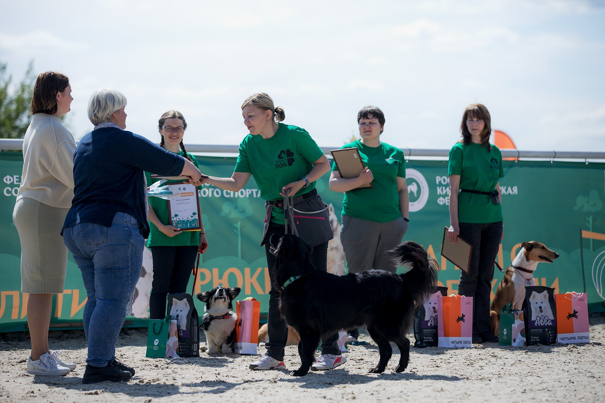 Показательные выступления по NoseWork на выставке «Россия». Фотограф-анималист Mary Mart — Москва, Питер