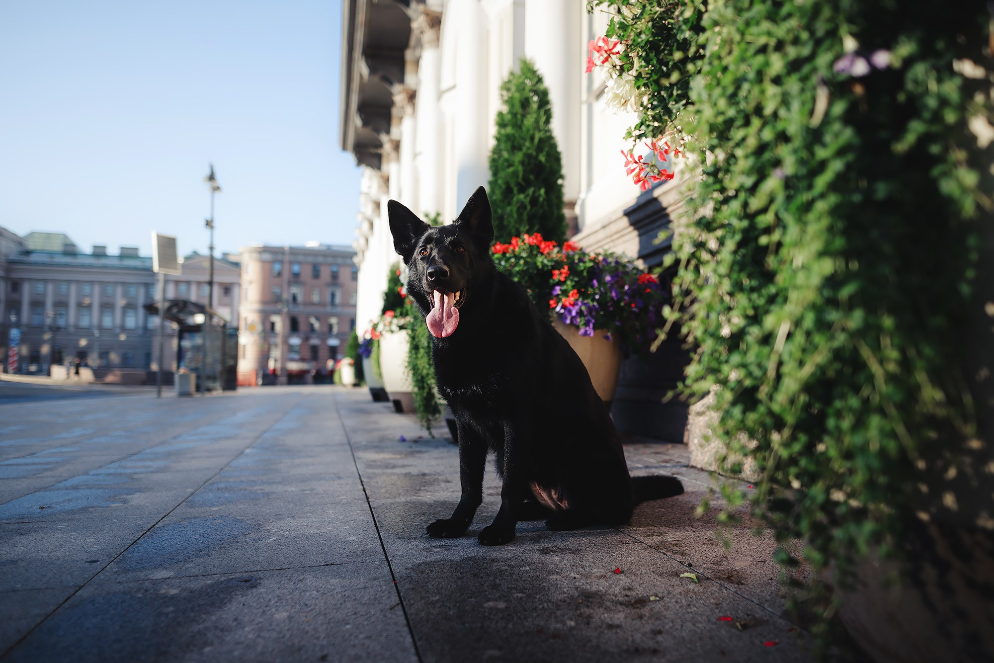 Алена, Кай и Мара. Фотограф-анималист Mary Mart — Москва, Питер