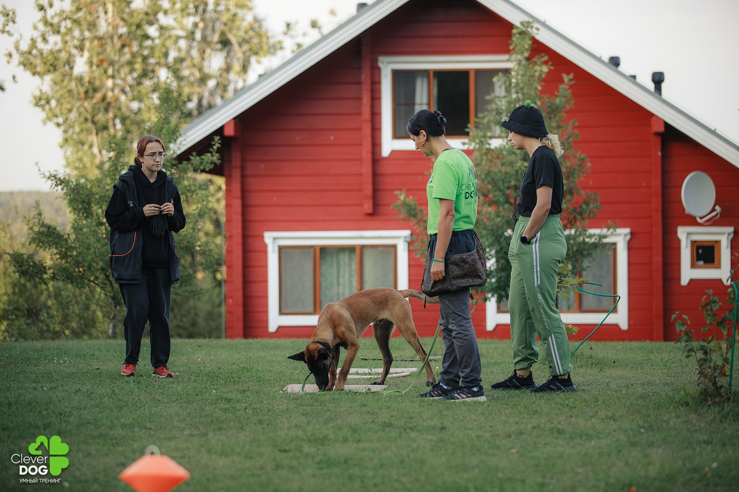 Кинологический лагерь CleverDog, 2024. Фотограф-анималист Mary Mart — Москва, Питер