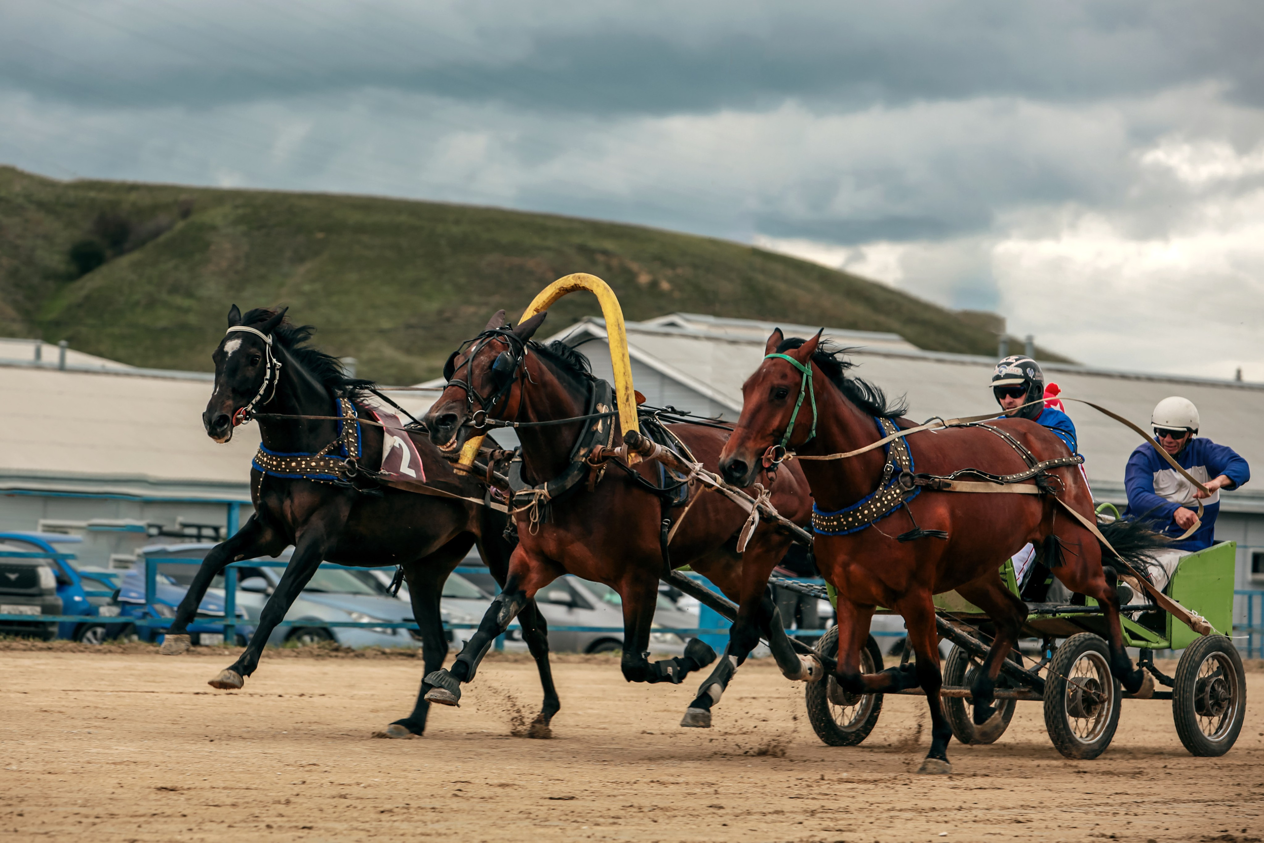 2024. Конный фотограф в Красноярске — Любовь Похабова