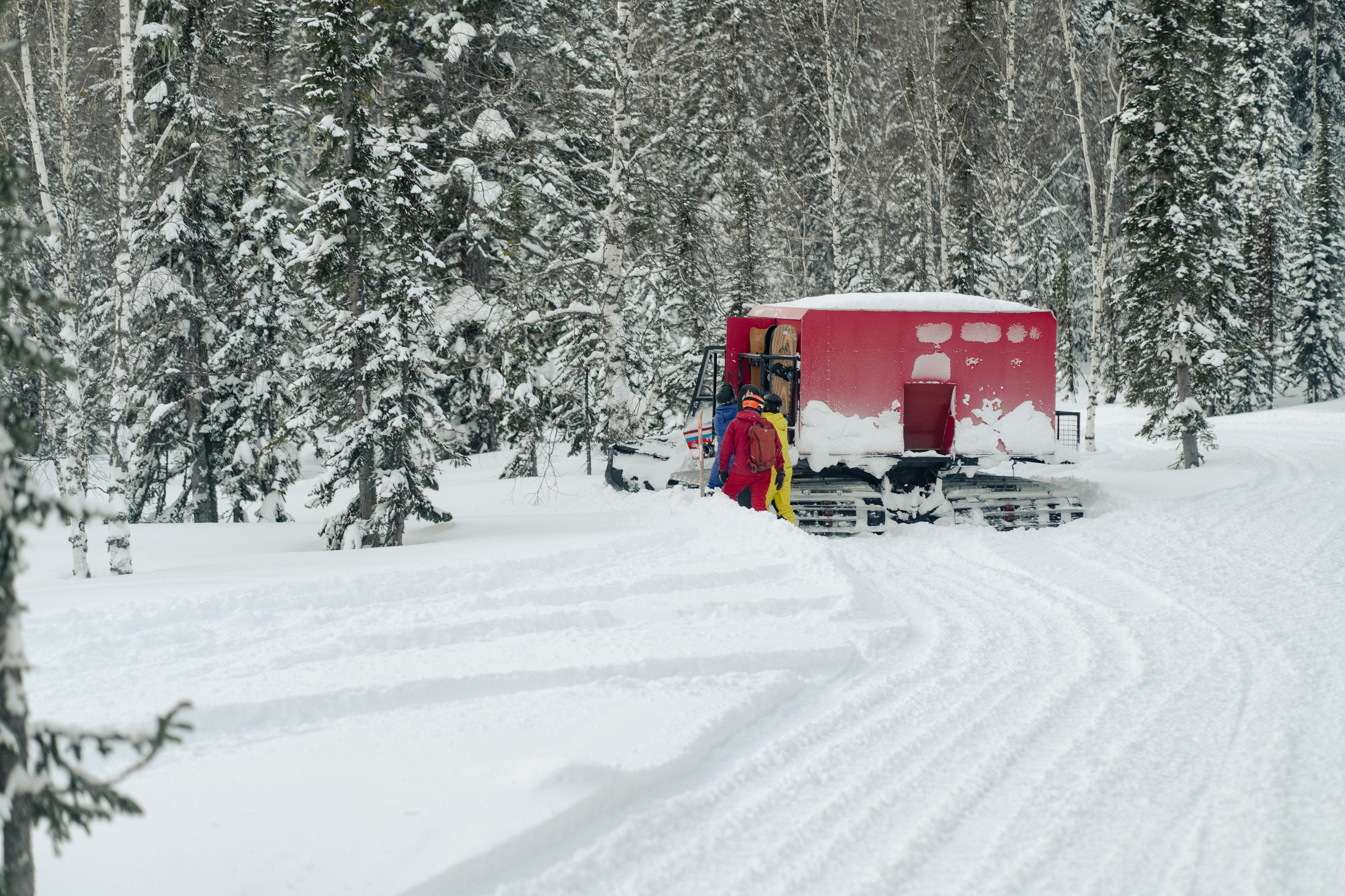 Mountain Patrol. Анастасия Паршукова — фотограф Шерегеш Новосибирск