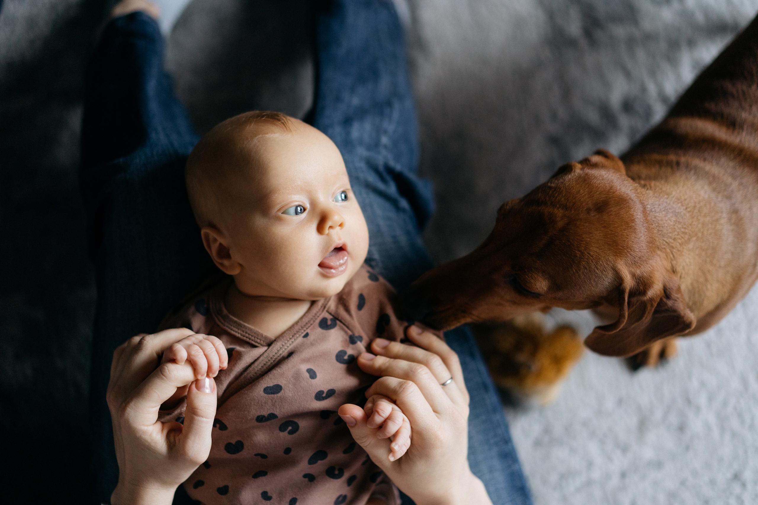 Двойняшки. Свадебный и семейный фотограф в Калининграде Анастасия Гриценко