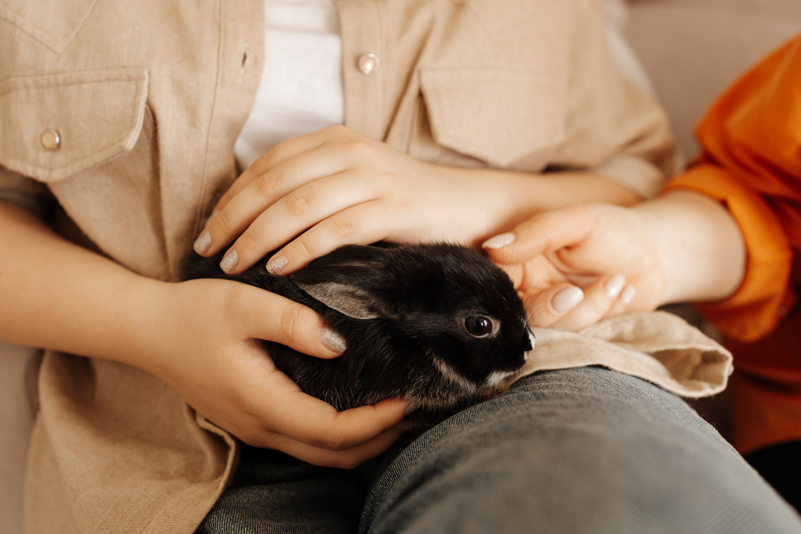 Кролики аренда Новосибирск