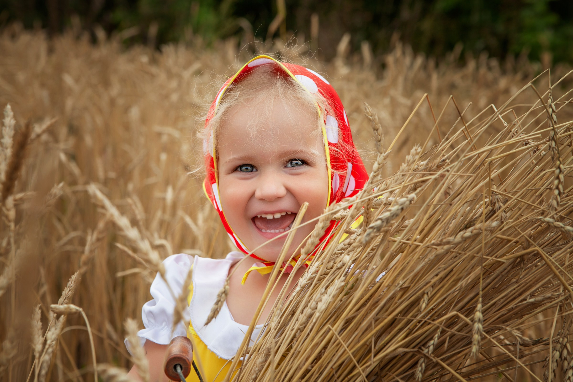 Дети в поле. Детский и семейный фотограф в Бердске и Новосибирске Дарья Гребнева