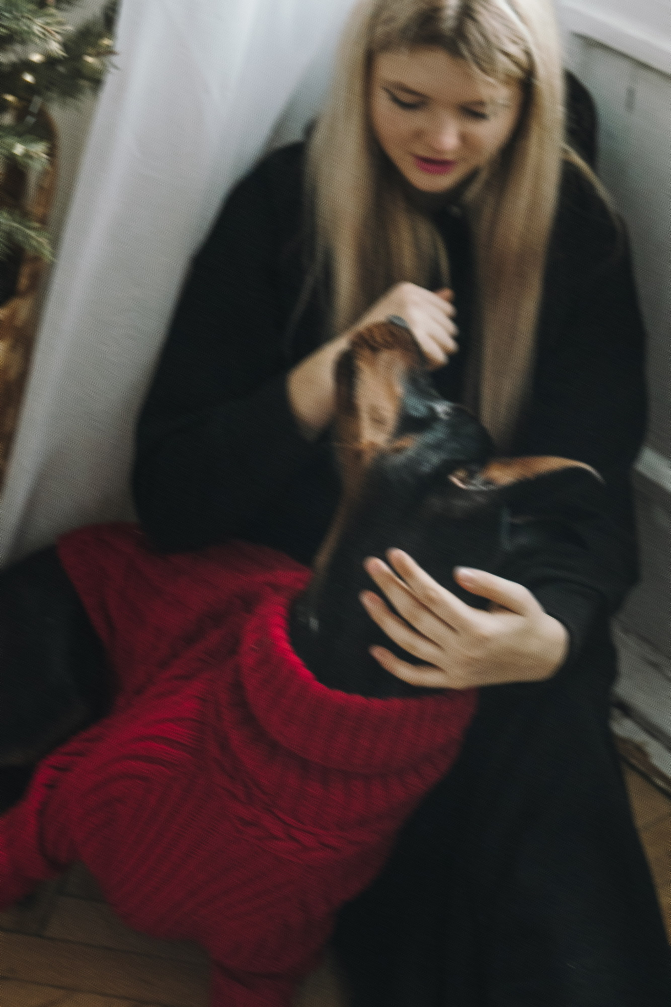 Саша и Асти. Фотограф анималист в Москве и Санкт-Петербурге Свиридова Анна