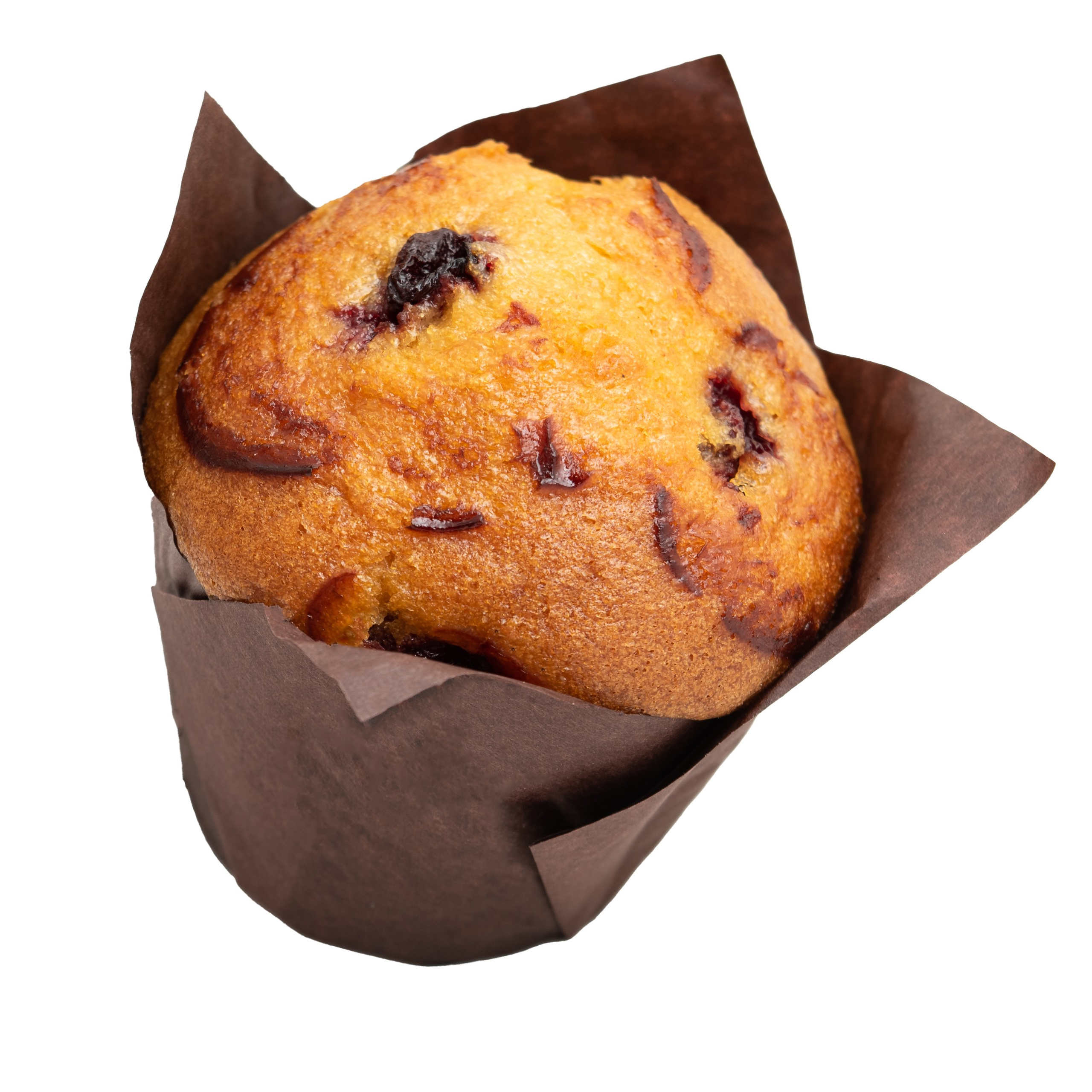 Изоляты. Фотограф в Москве Дмитровская Дарья