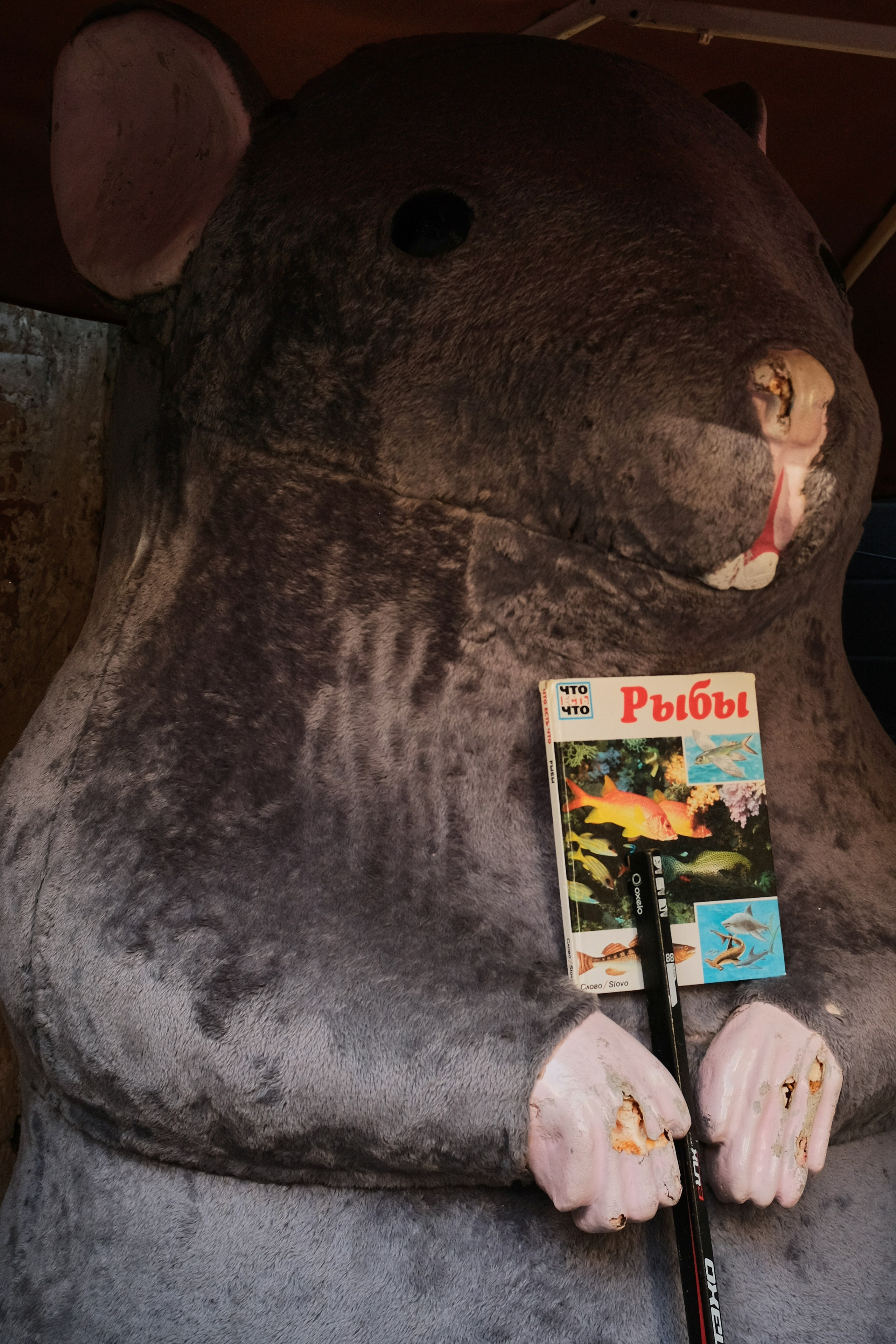 Rostov-on-Don. Creative travel photographer — Berg Daria