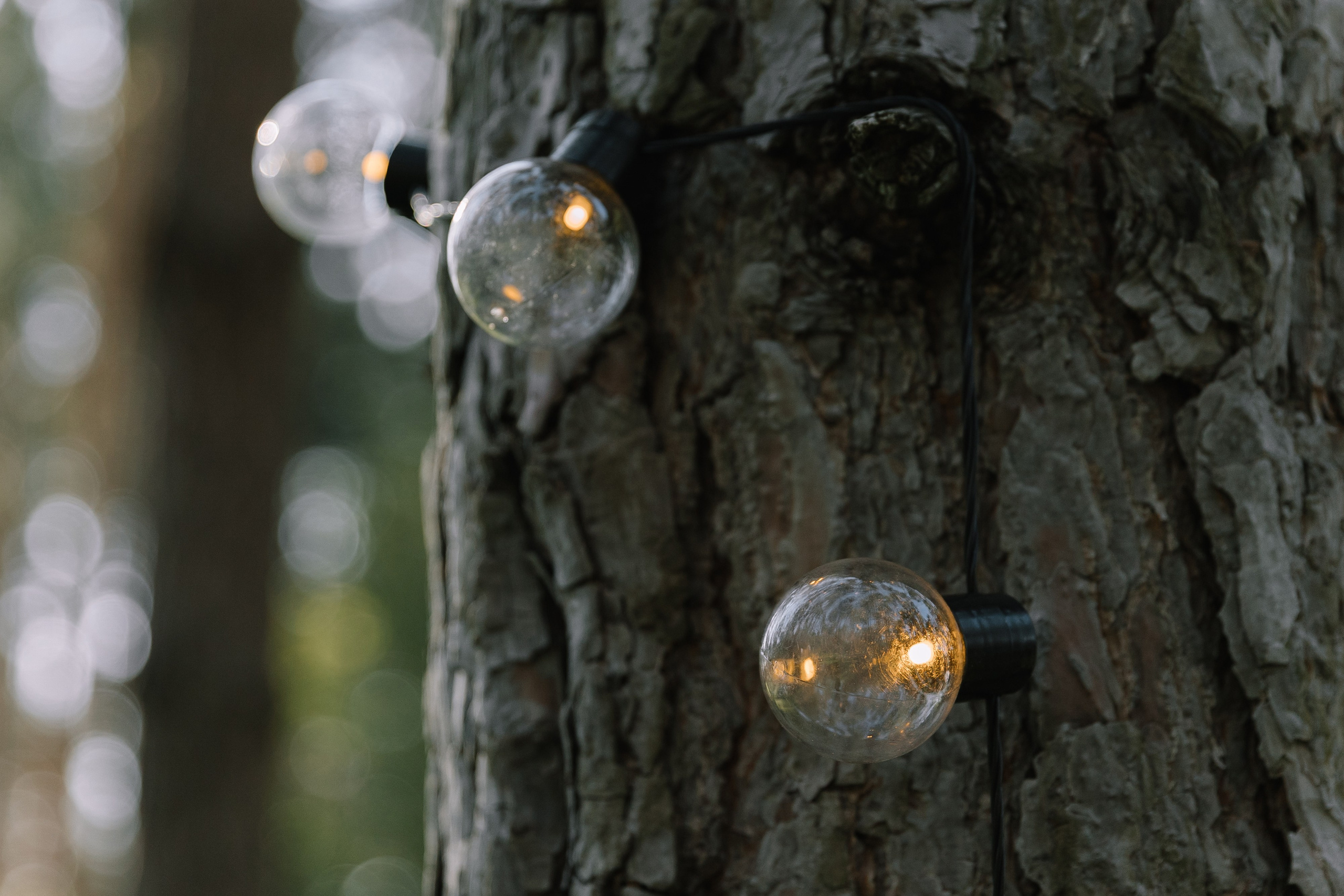 В первый день сентября. Фотограф Елена Краснопевцева