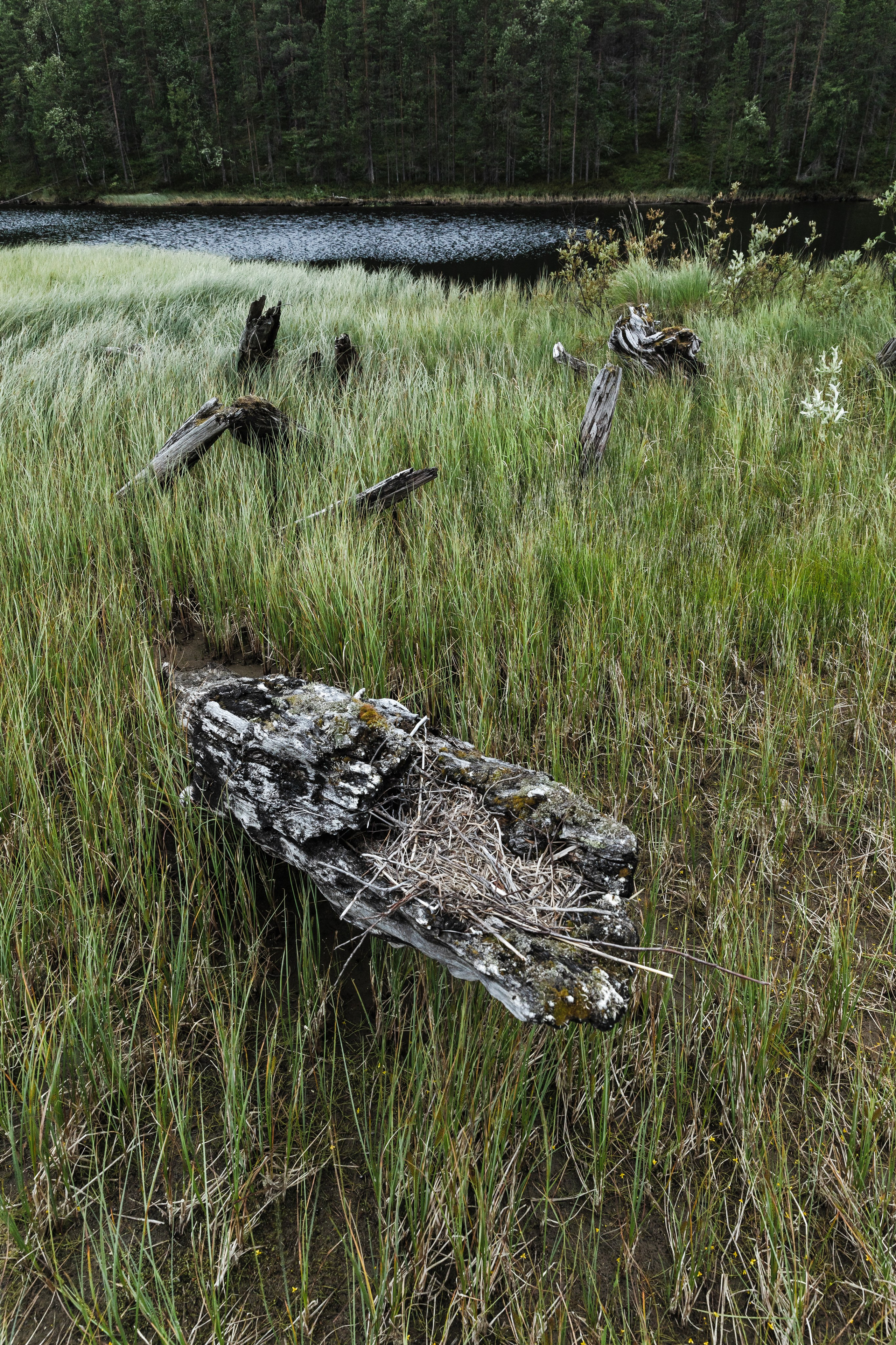 Оз. Колвицкое. Фотографии