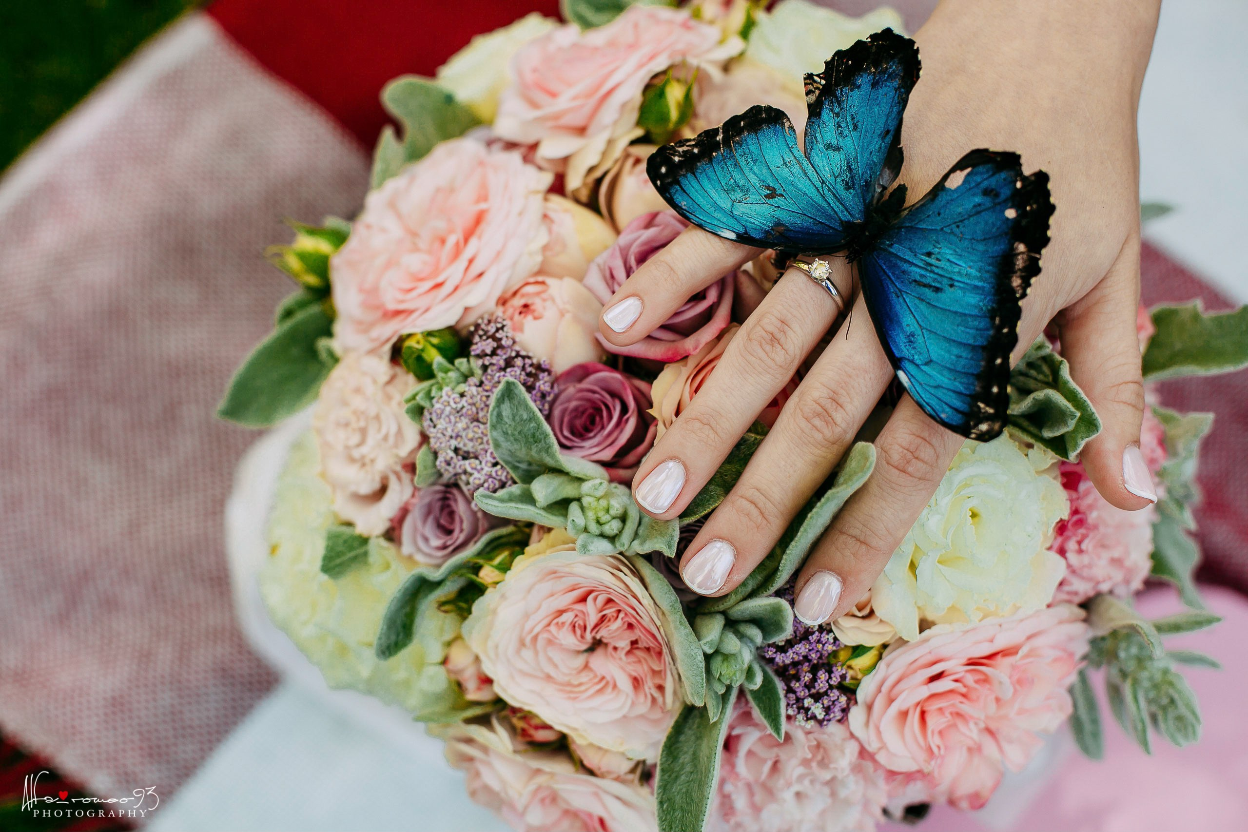 Wedding day 9.08.2021. Фотограф Видеограф