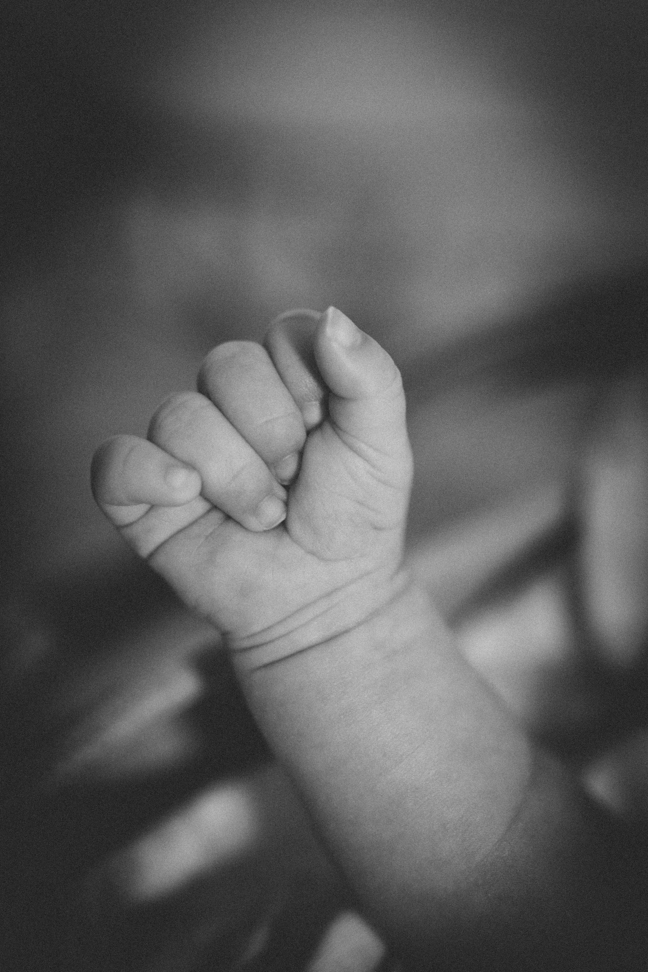 Аня, Кирилл и Ярослав. Семейный фотограф и фотограф на роды в Ростове-на-Дону Мухина Виктория